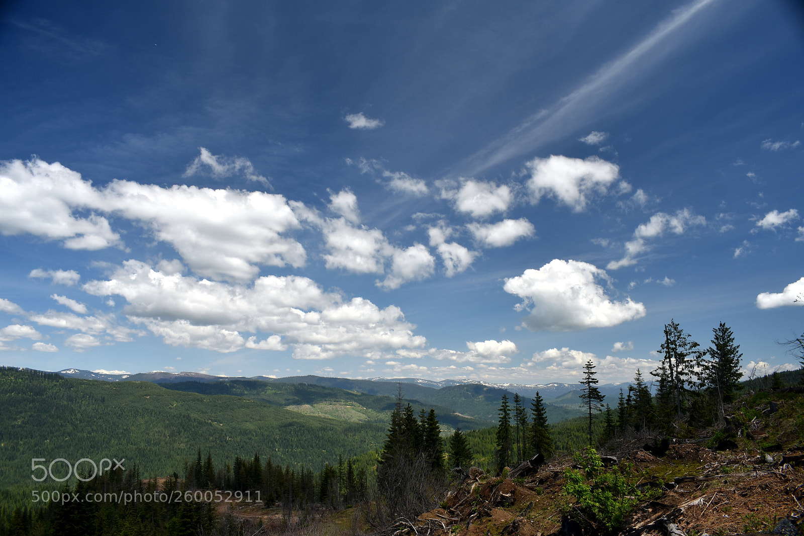 Nikon D3400 sample photo. Mountains near elk river photography