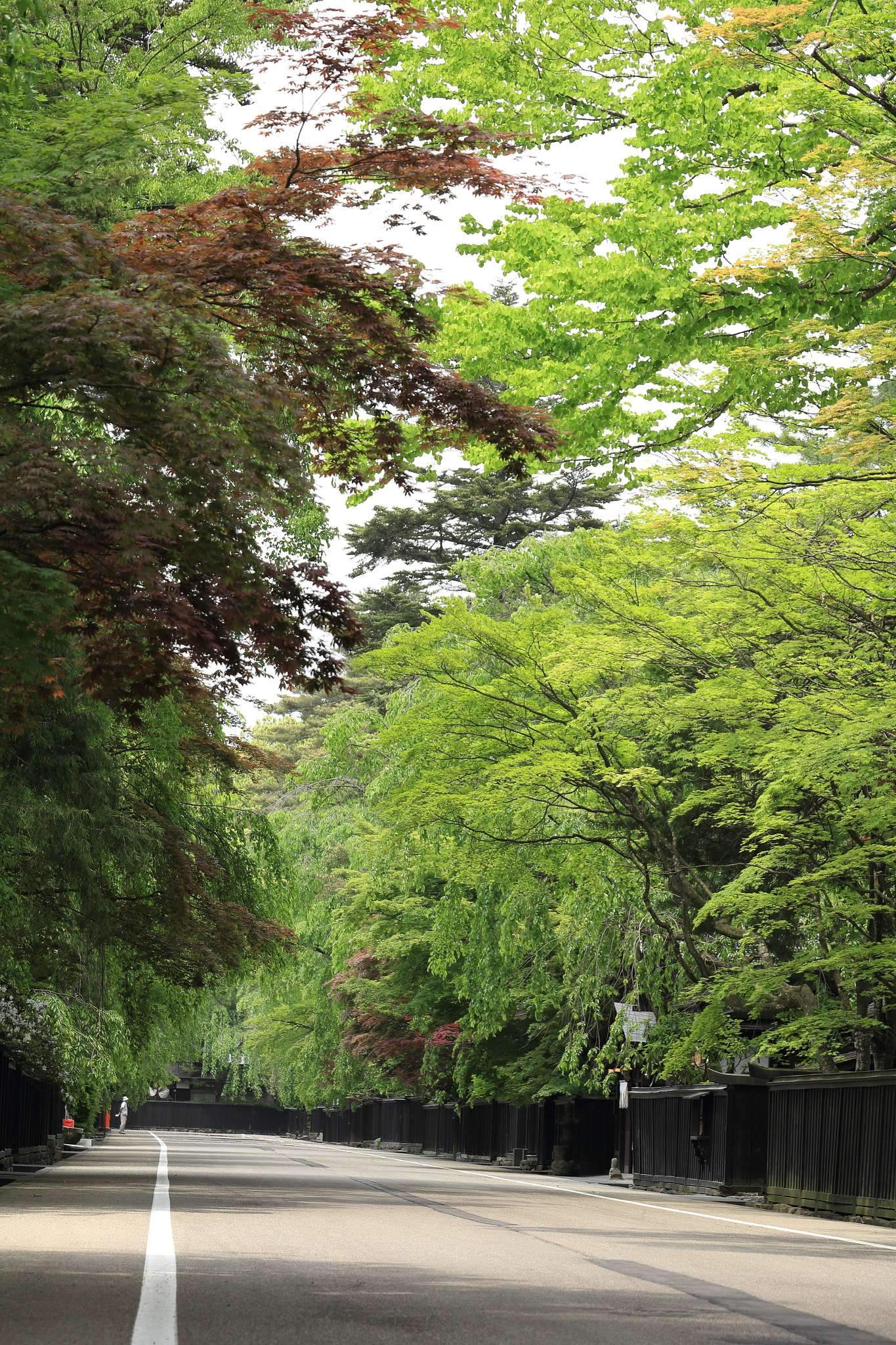 Canon EOS 60D sample photo. Kakunodate buke-yashiki samurai street photography