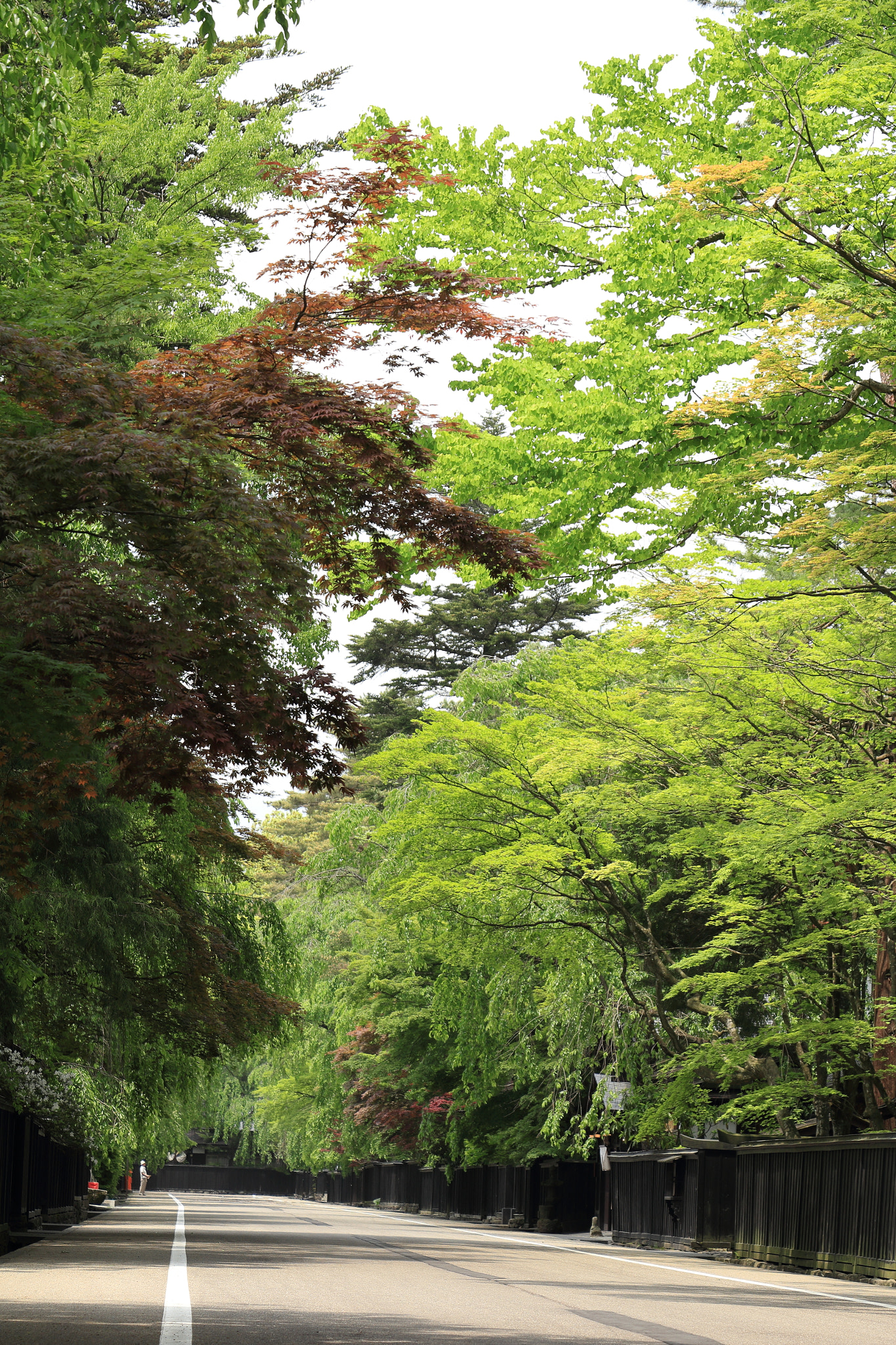 Canon EOS 60D sample photo. Kakunodate buke-yashiki samurai street photography