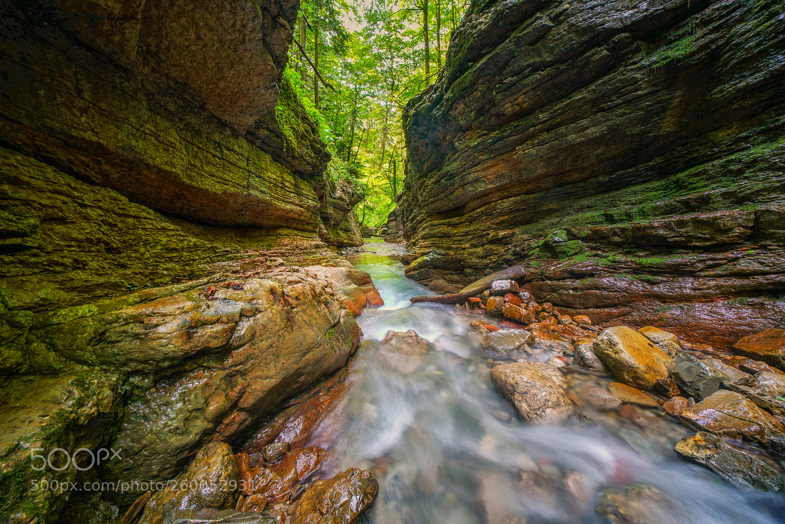 Sony a7R II sample photo. Fru hlingsfarben in der photography