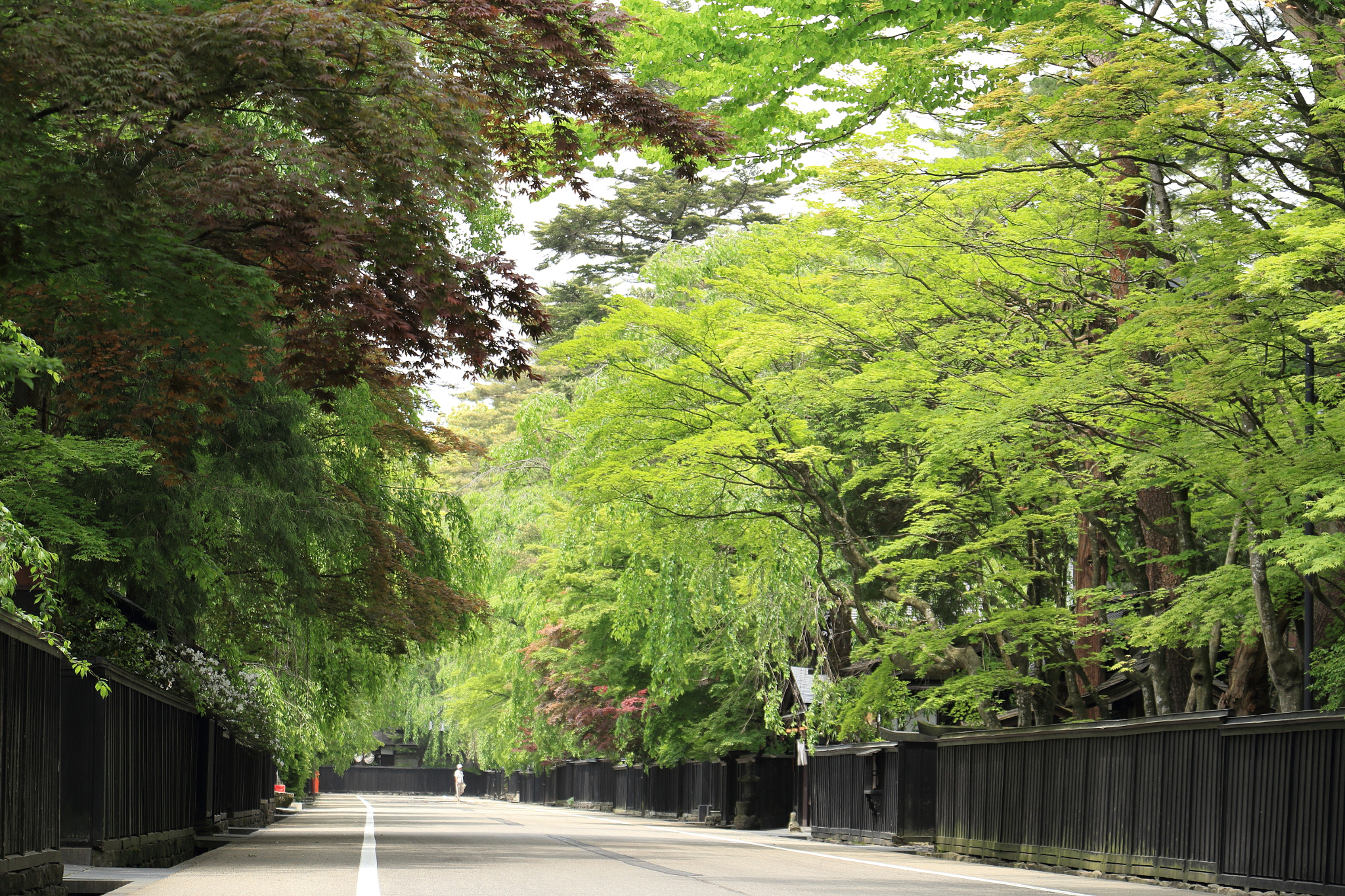 Canon EOS 60D + Canon EF-S 18-135mm F3.5-5.6 IS STM sample photo. Kakunodate buke-yashiki samurai street photography