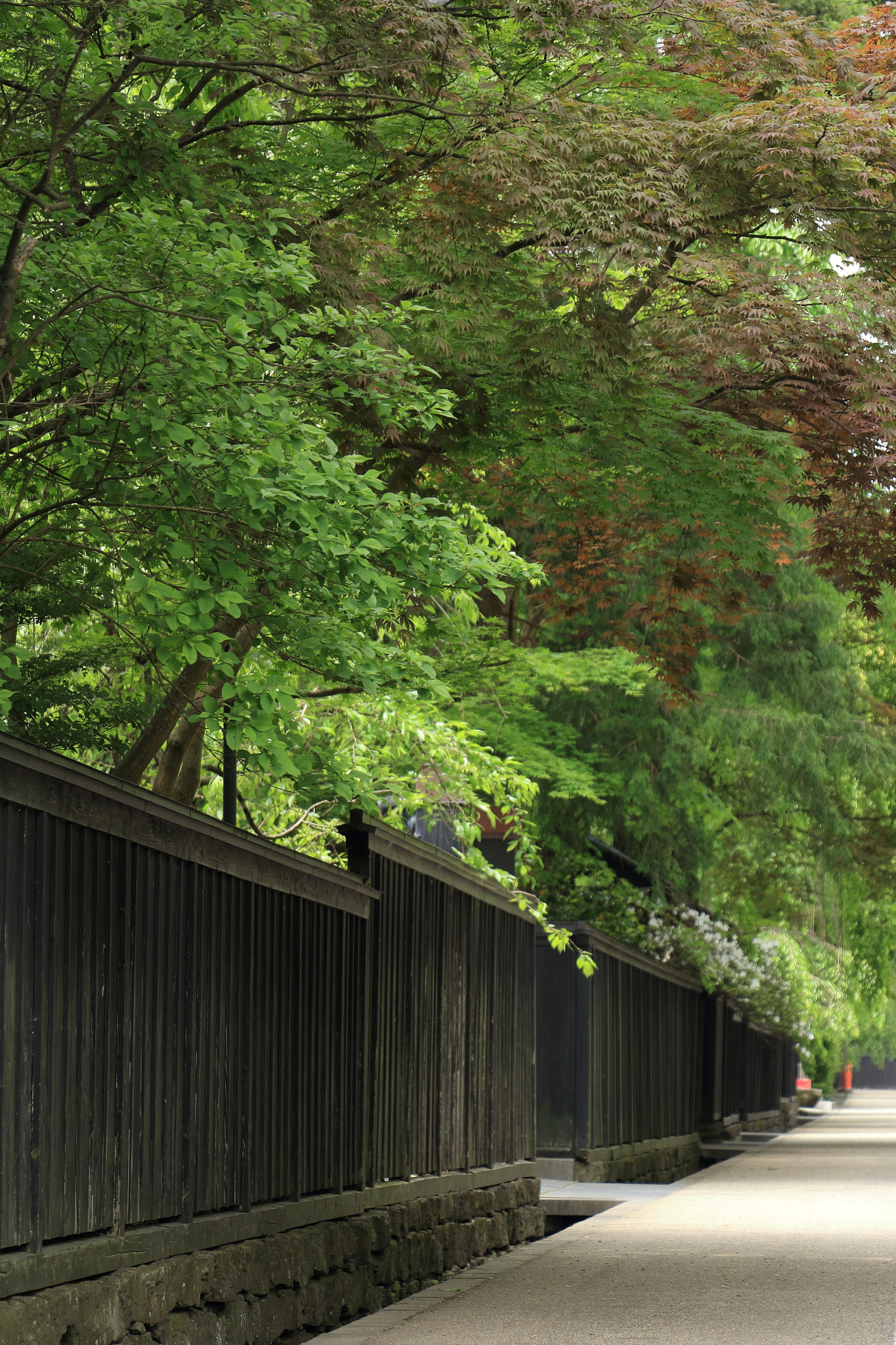 Canon EOS 60D sample photo. Kakunodate buke-yashiki samurai street photography