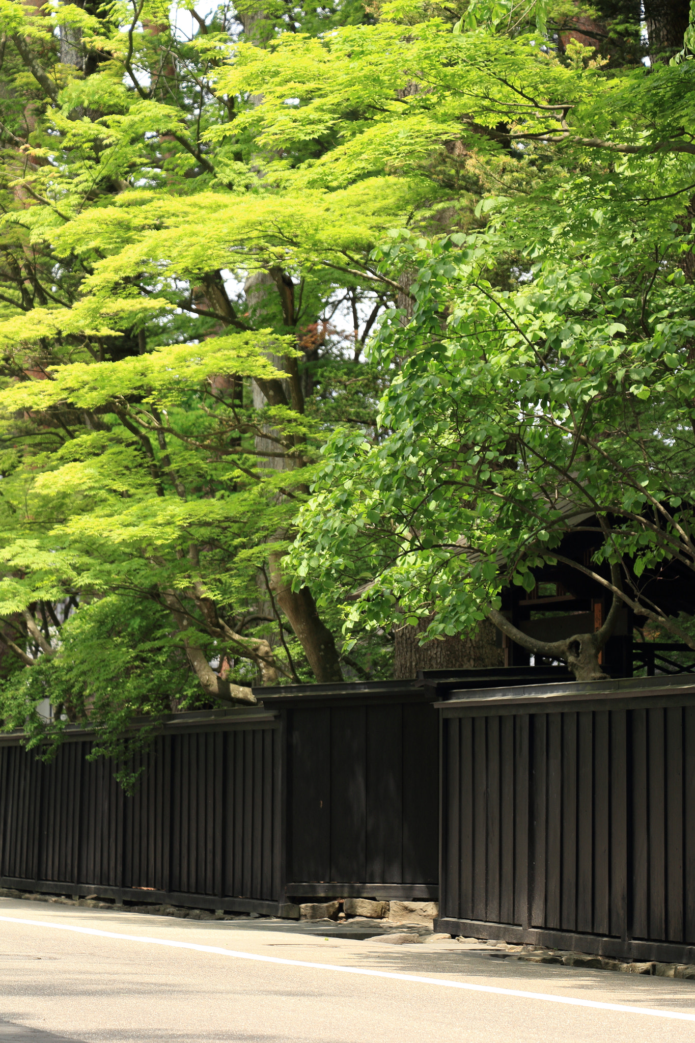 Canon EOS 60D + Canon EF-S 18-135mm F3.5-5.6 IS STM sample photo. Kakunodate buke-yashiki samurai street photography