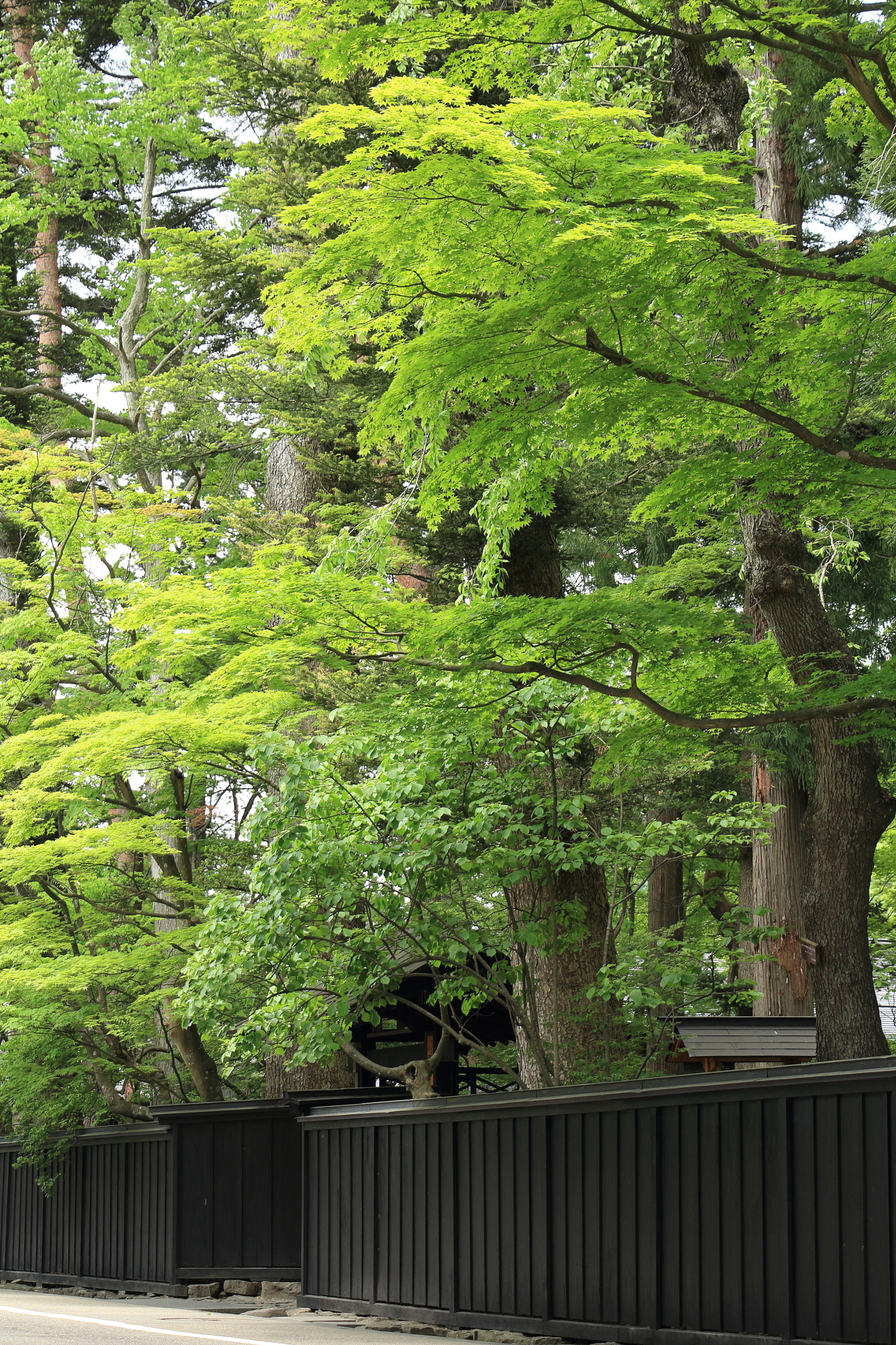 Canon EOS 60D sample photo. Kakunodate buke-yashiki samurai street photography