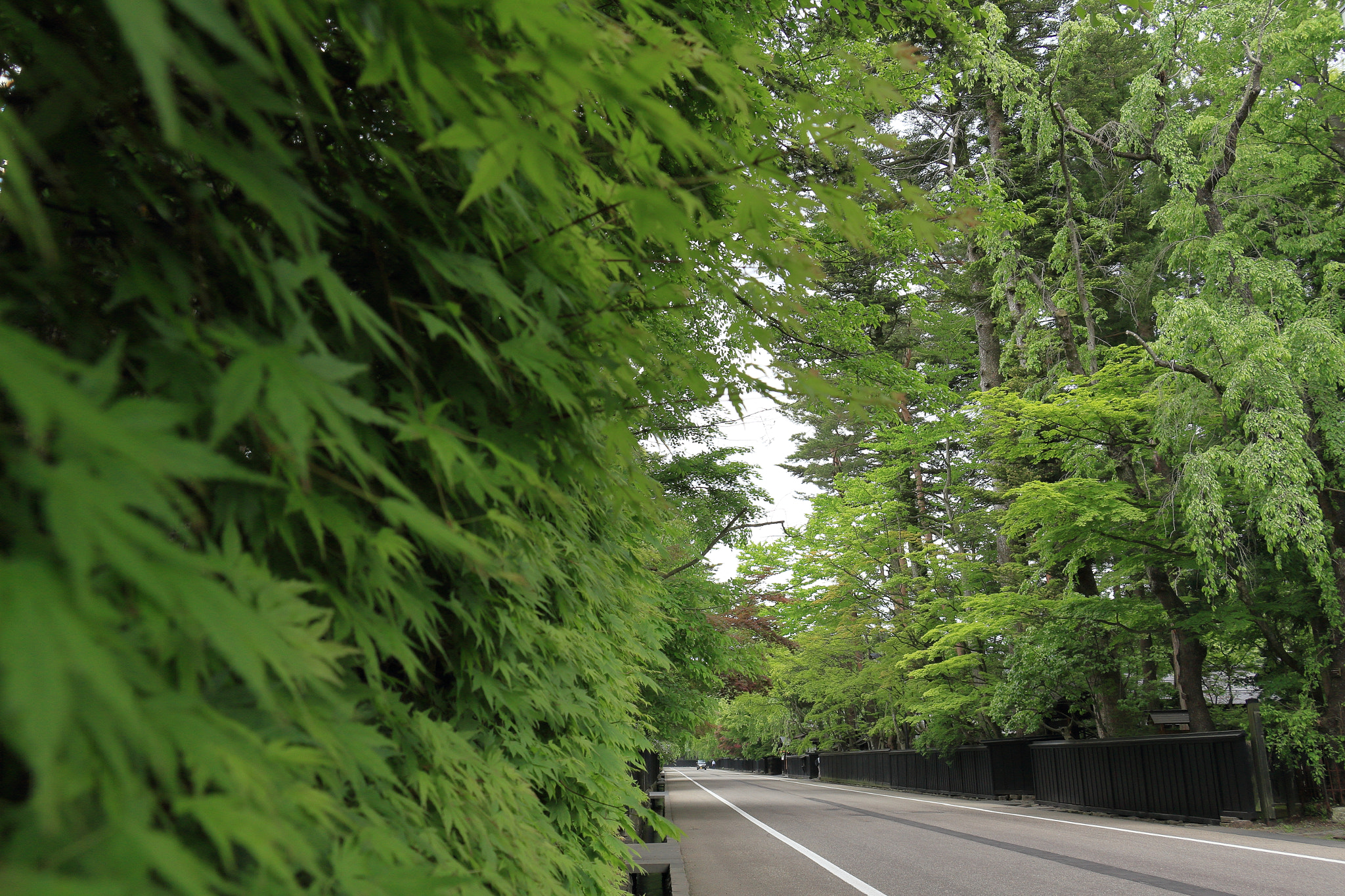 Canon EOS 60D + Canon EF-S 18-135mm F3.5-5.6 IS STM sample photo. Kakunodate buke-yashiki samurai street photography