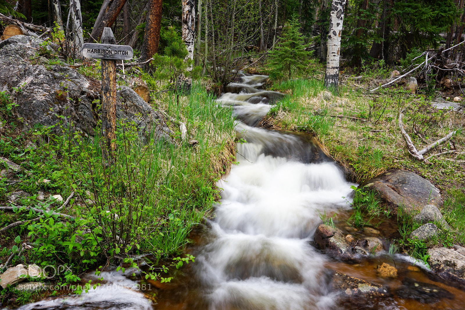 Sony a6000 sample photo. Harbison ditch in rocky photography