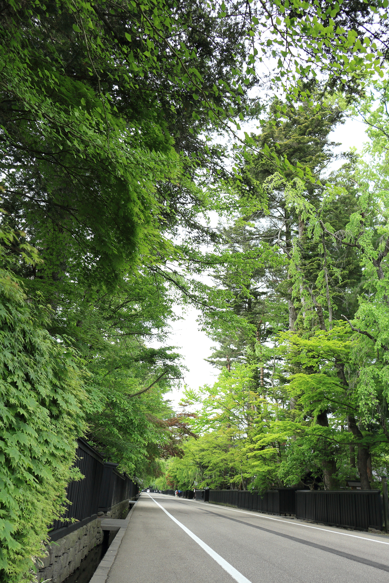 Canon EOS 60D sample photo. Kakunodate buke-yashiki samurai street photography