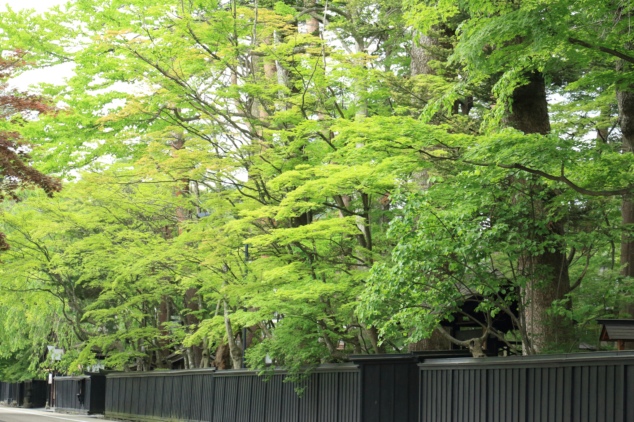 Canon EOS 60D sample photo. Kakunodate buke-yashiki samurai street photography