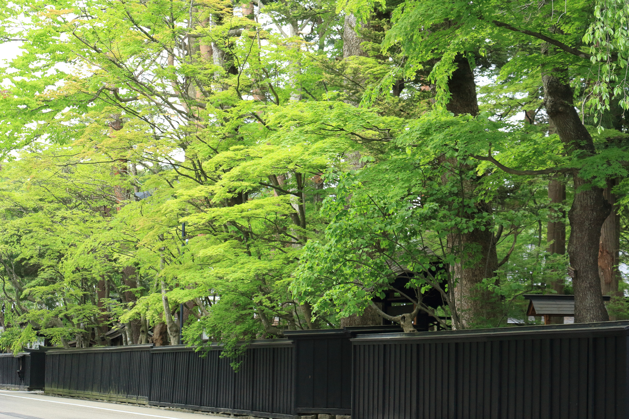 Canon EOS 60D sample photo. Kakunodate buke-yashiki samurai street photography