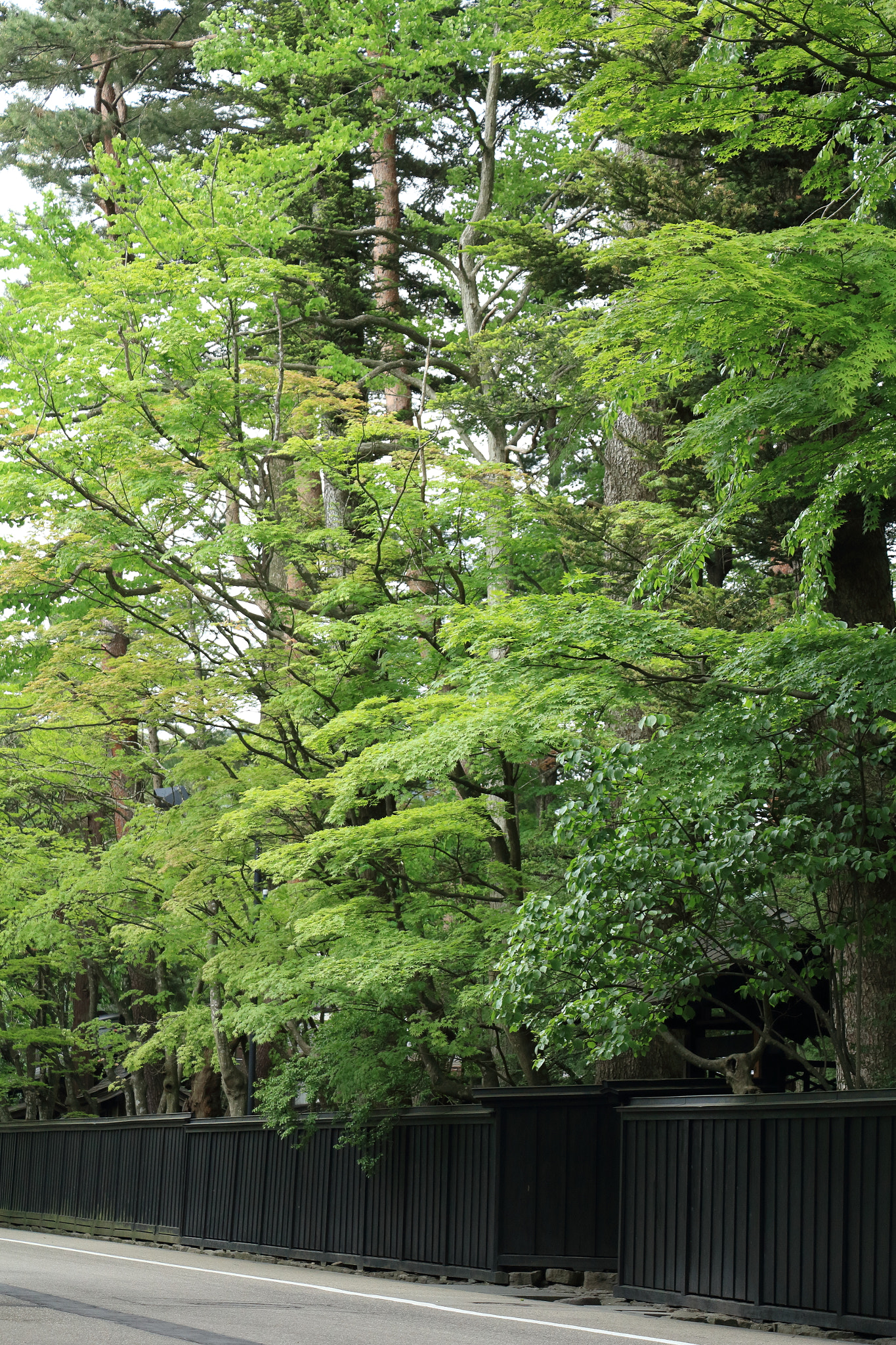 Canon EOS 60D sample photo. Kakunodate buke-yashiki samurai street photography
