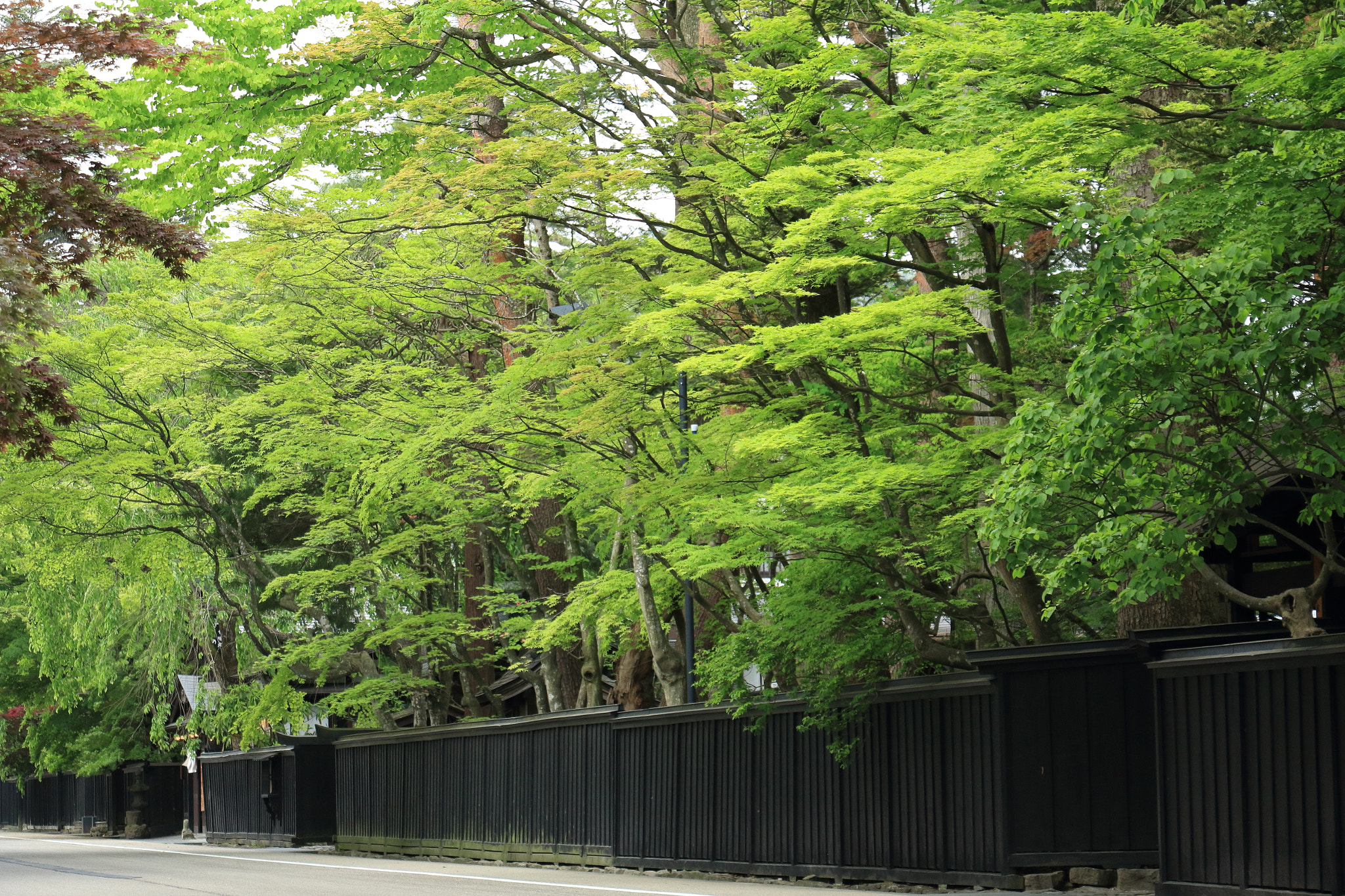 Canon EOS 60D sample photo. Kakunodate buke-yashiki samurai street photography