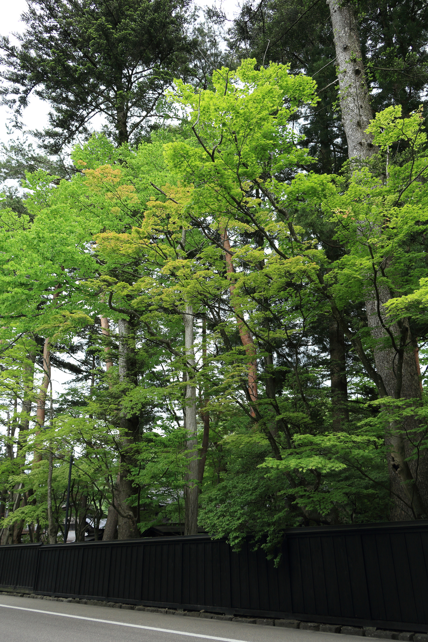 Canon EOS 60D sample photo. Kakunodate buke-yashiki samurai street photography
