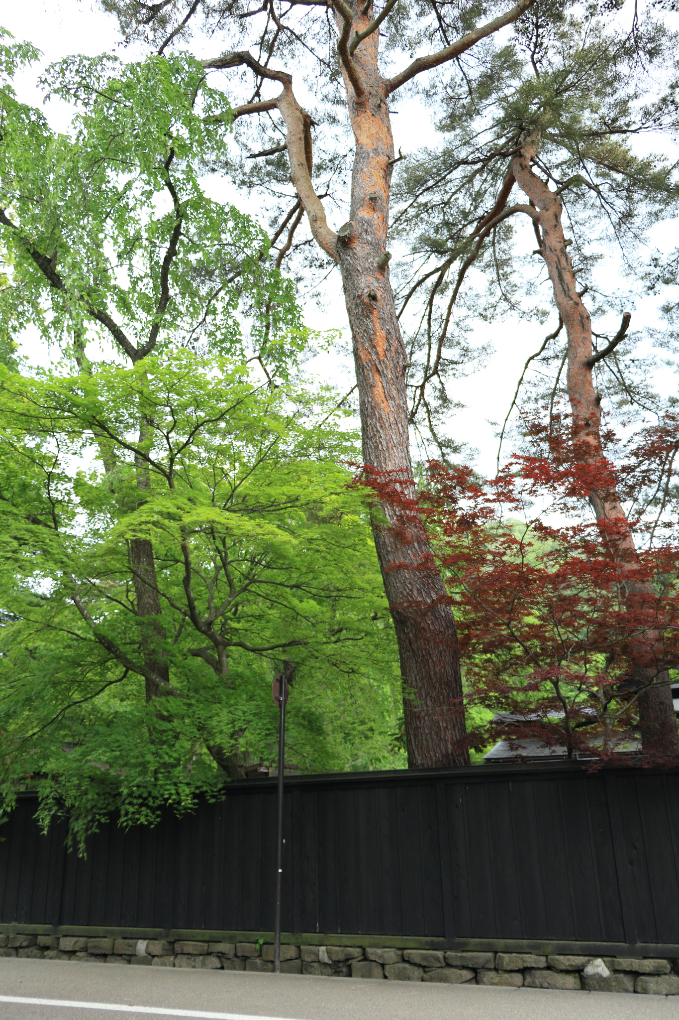 Canon EOS 60D sample photo. Kakunodate buke-yashiki samurai street photography