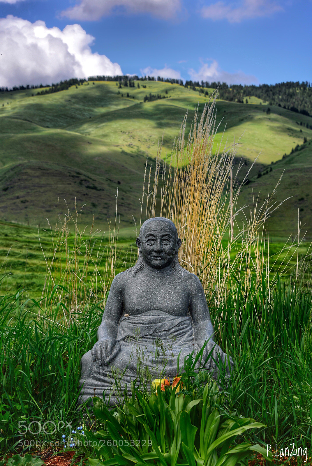 Nikon D810 sample photo. Tribute to a master photography