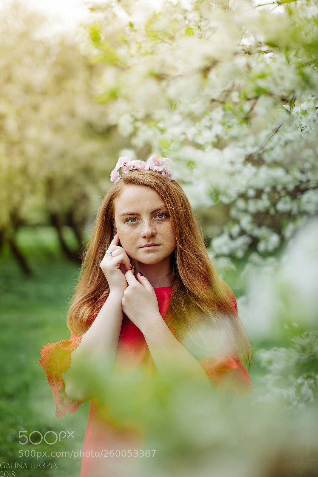 Canon EOS 5D Mark II sample photo. Springtime! photography