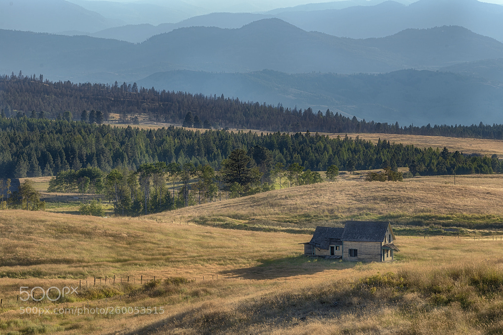 Nikon D610 sample photo. Abandoned farmhouse photography