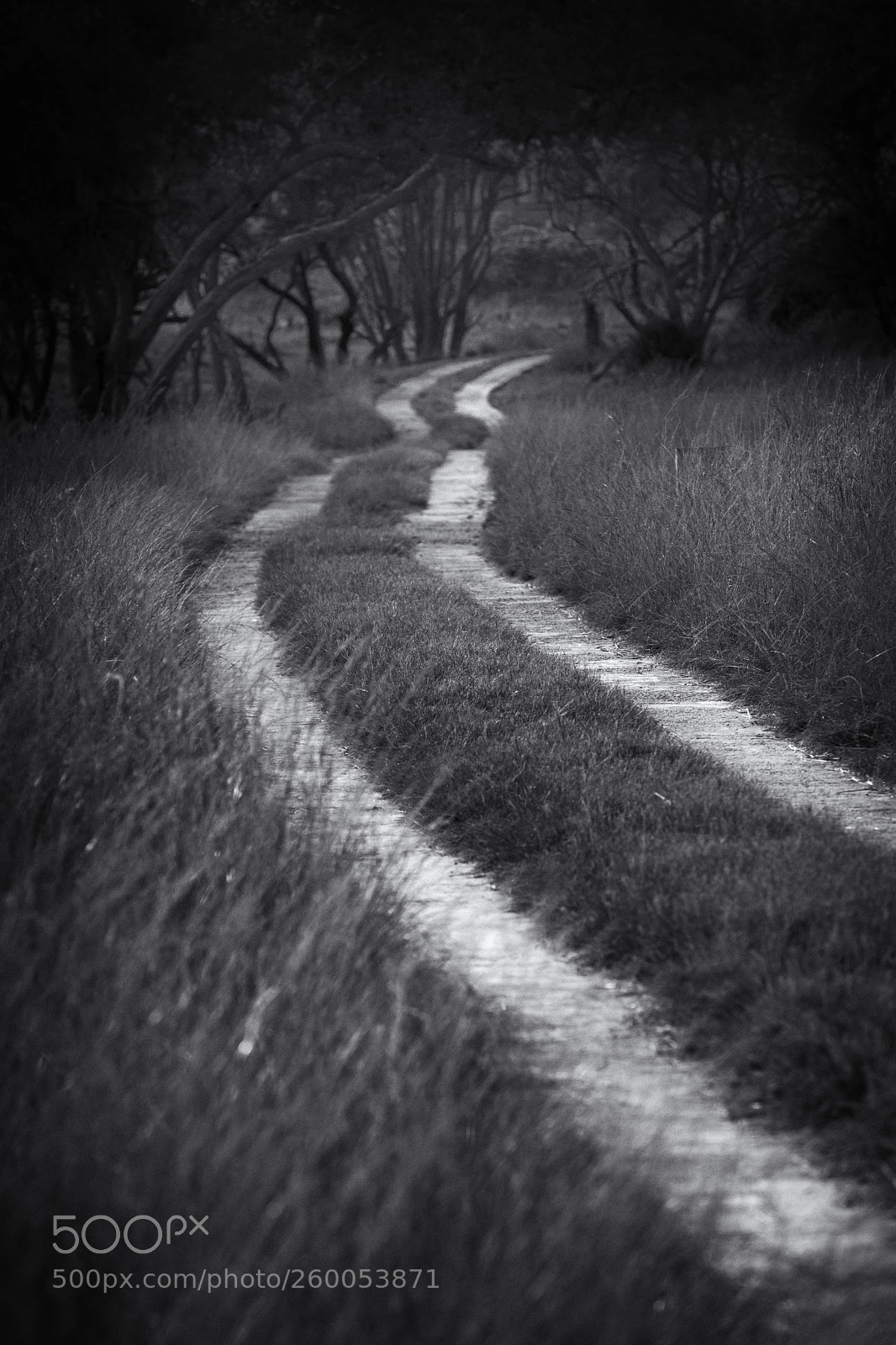 Nikon D750 sample photo. The road to nowhere photography
