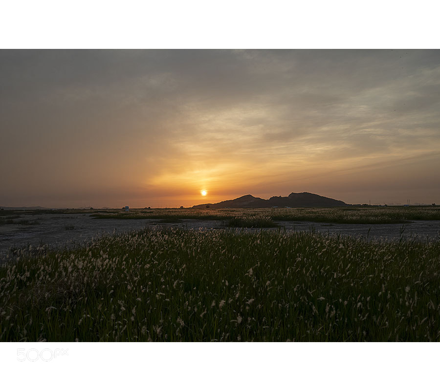 Canon EOS 5D Mark IV sample photo. Untitled photography