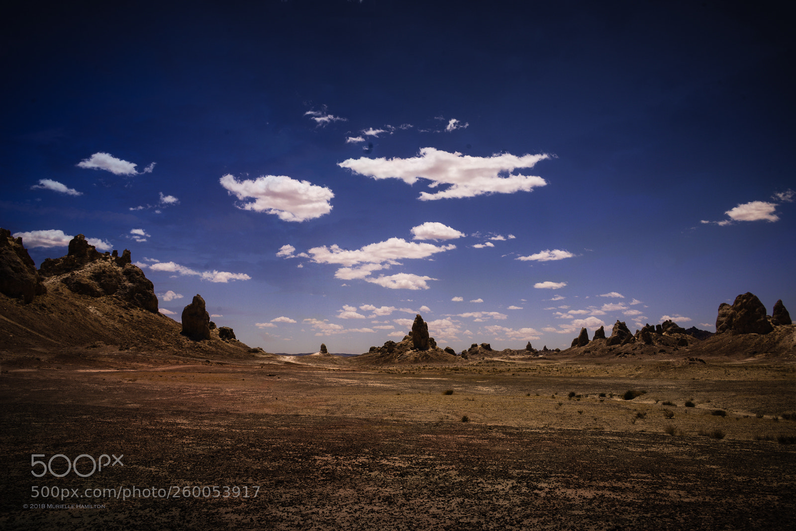 Nikon D800 sample photo. Strange land photography