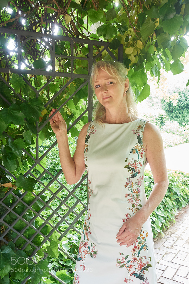 Olympus OM-D E-M5 II sample photo. A wonderful day ... photography