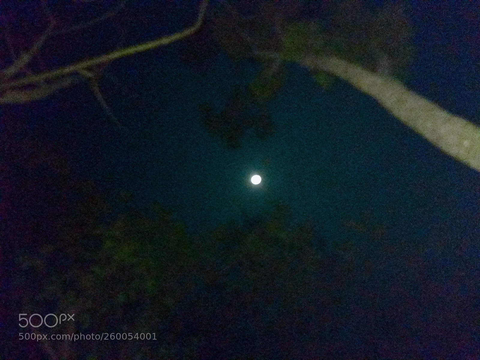 Xiaomi Redmi Note 4 sample photo. Untitled photography