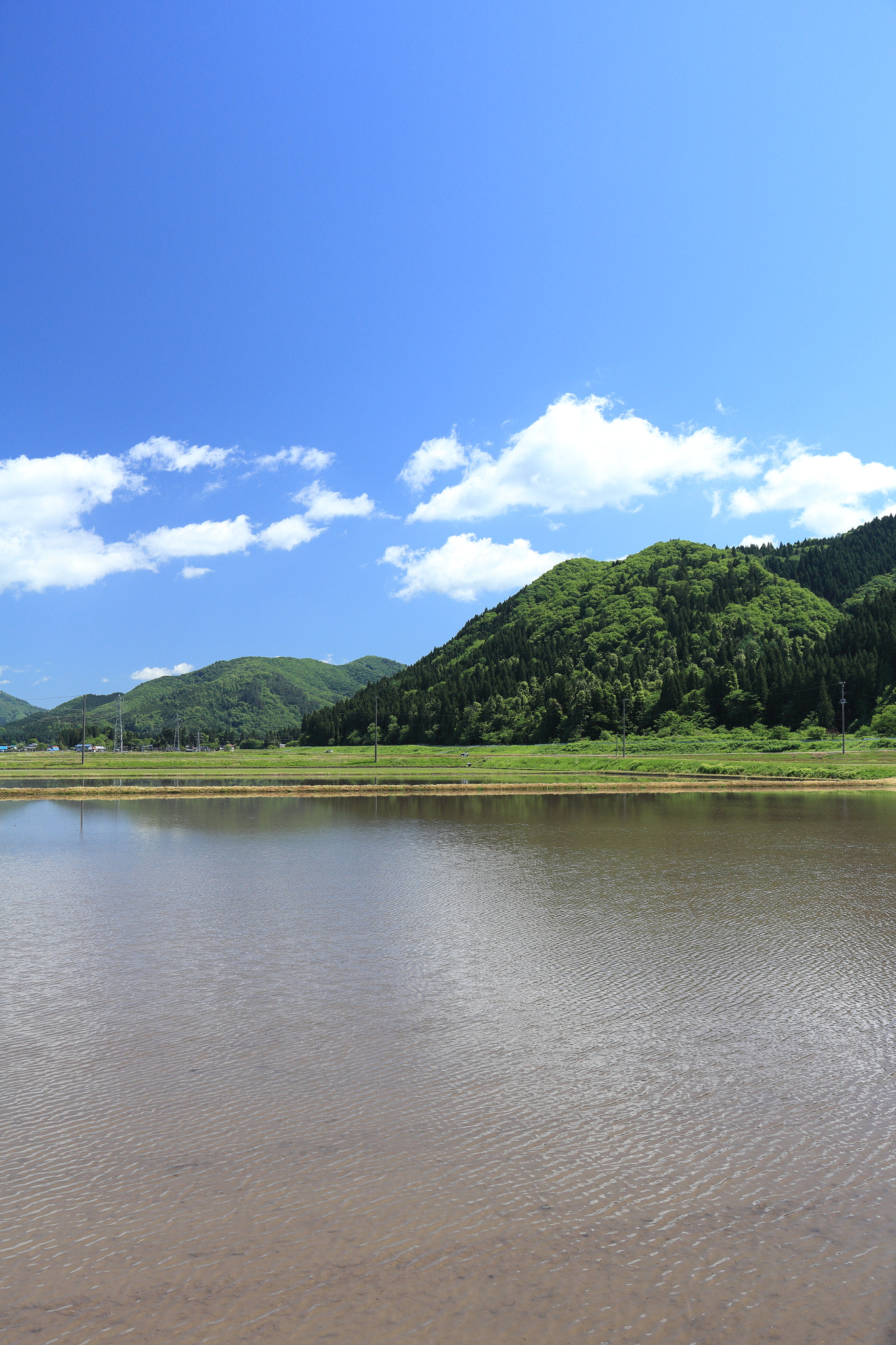 Canon EOS 60D sample photo. Aktia japan nature photography