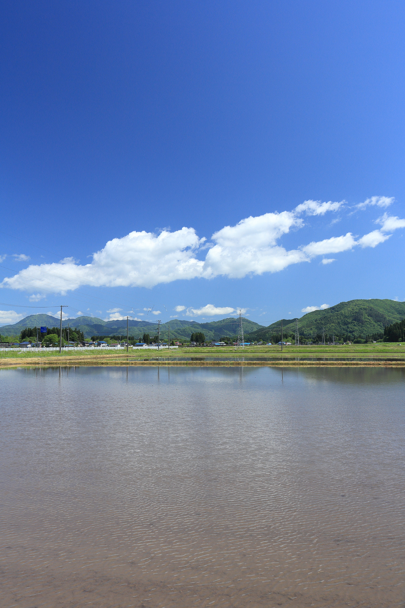 Canon EOS 60D sample photo. Aktia japan nature photography