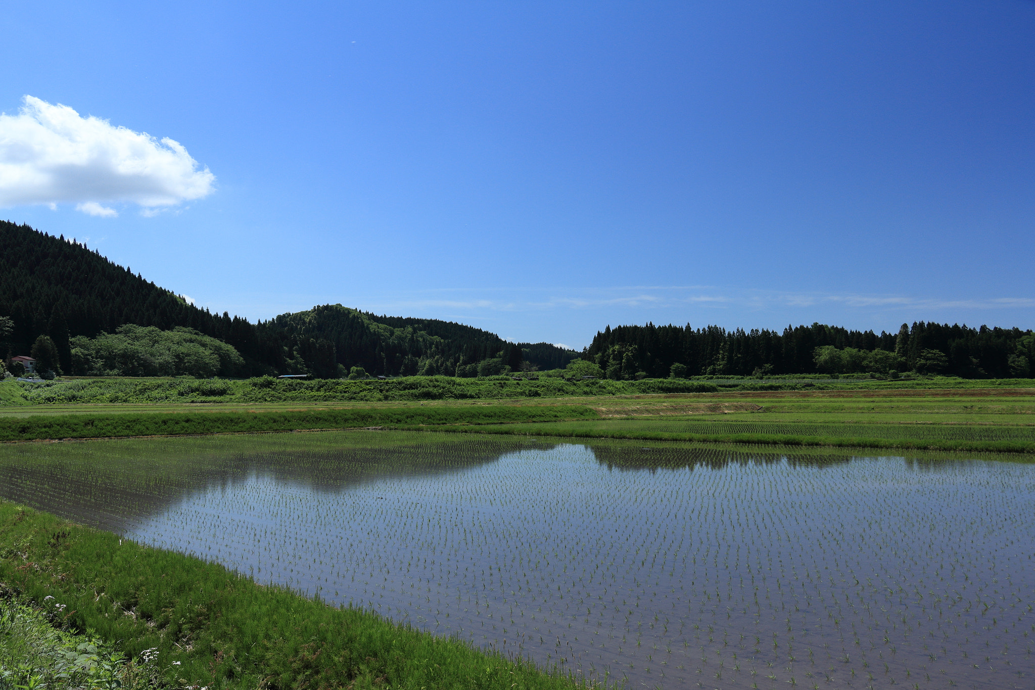 Canon EOS 60D sample photo. Aktia japan nature photography