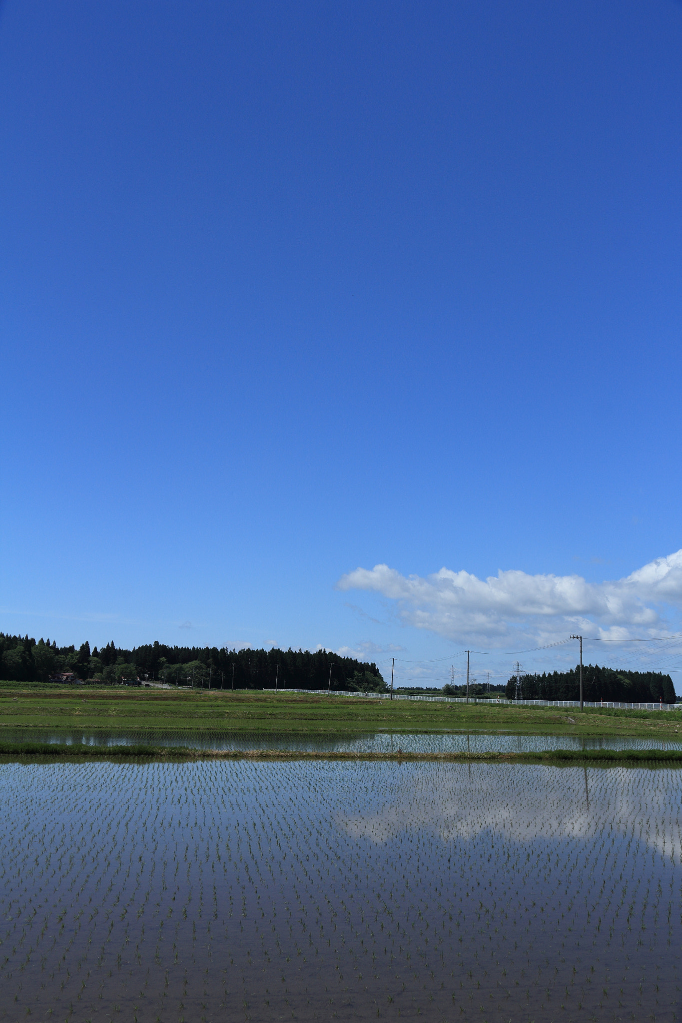 Canon EOS 60D sample photo. Aktia japan nature photography