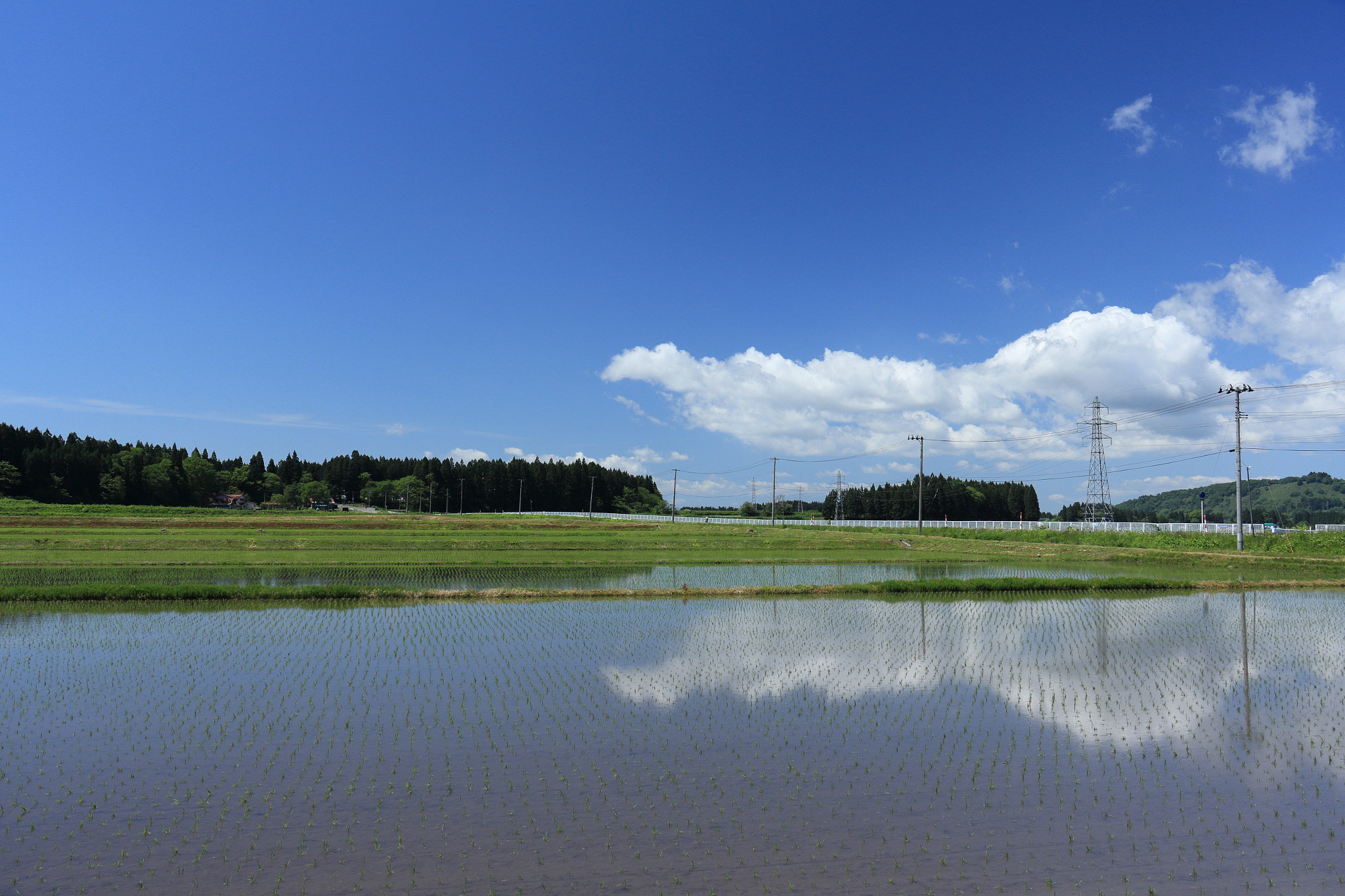 Canon EOS 60D sample photo. Aktia japan nature photography