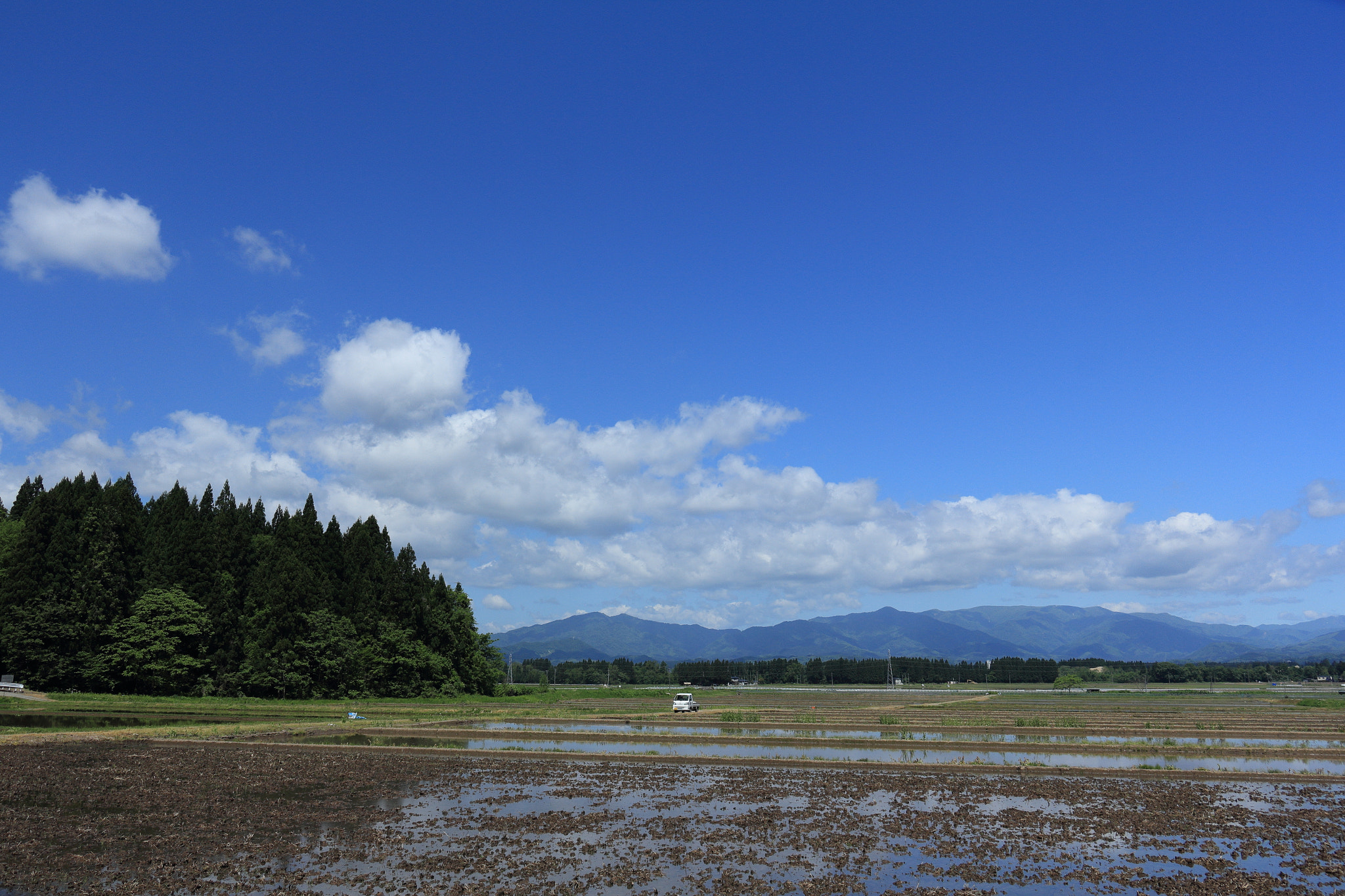 Canon EOS 60D sample photo. Aktia japan nature photography
