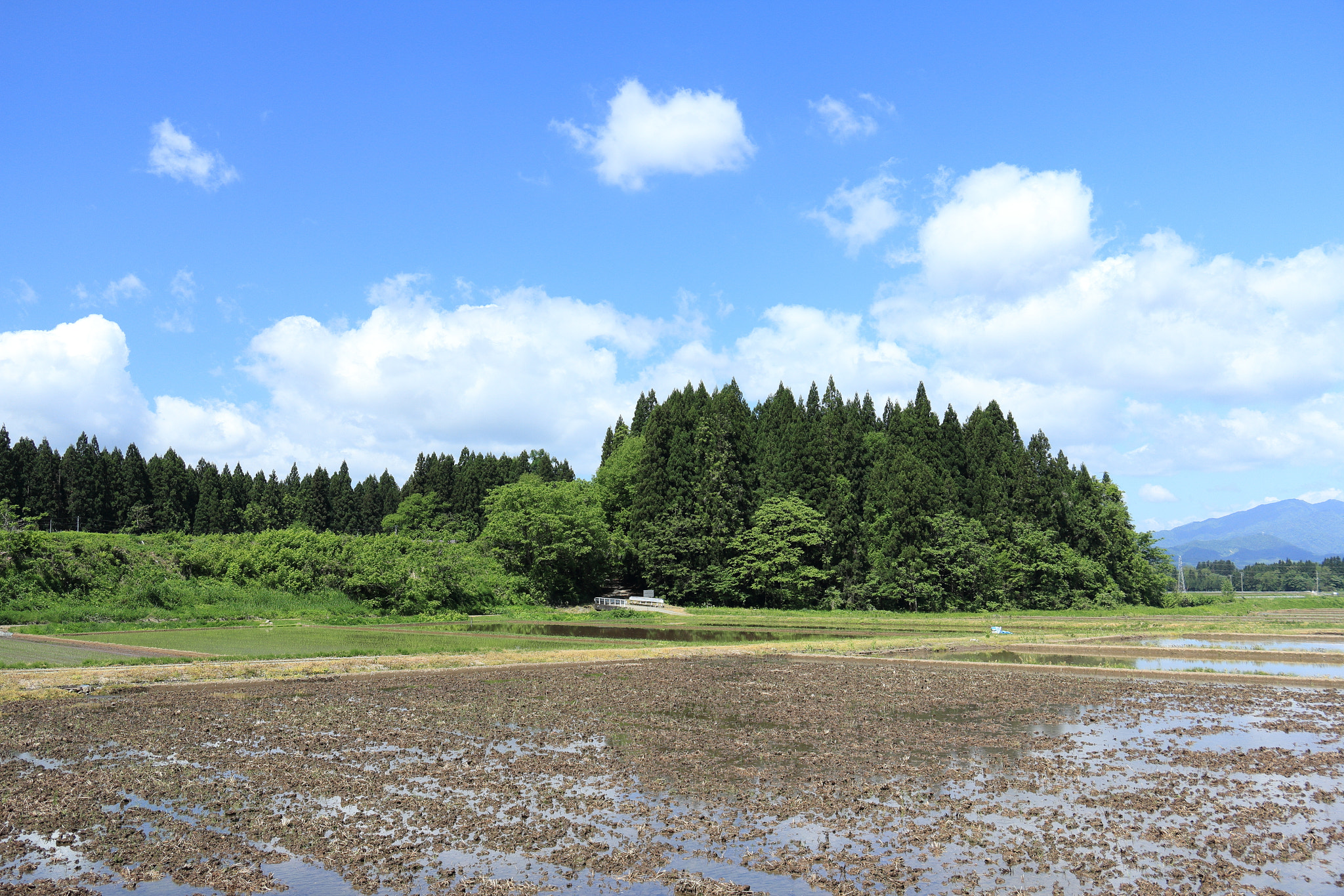 Canon EOS 60D sample photo. Aktia japan nature photography