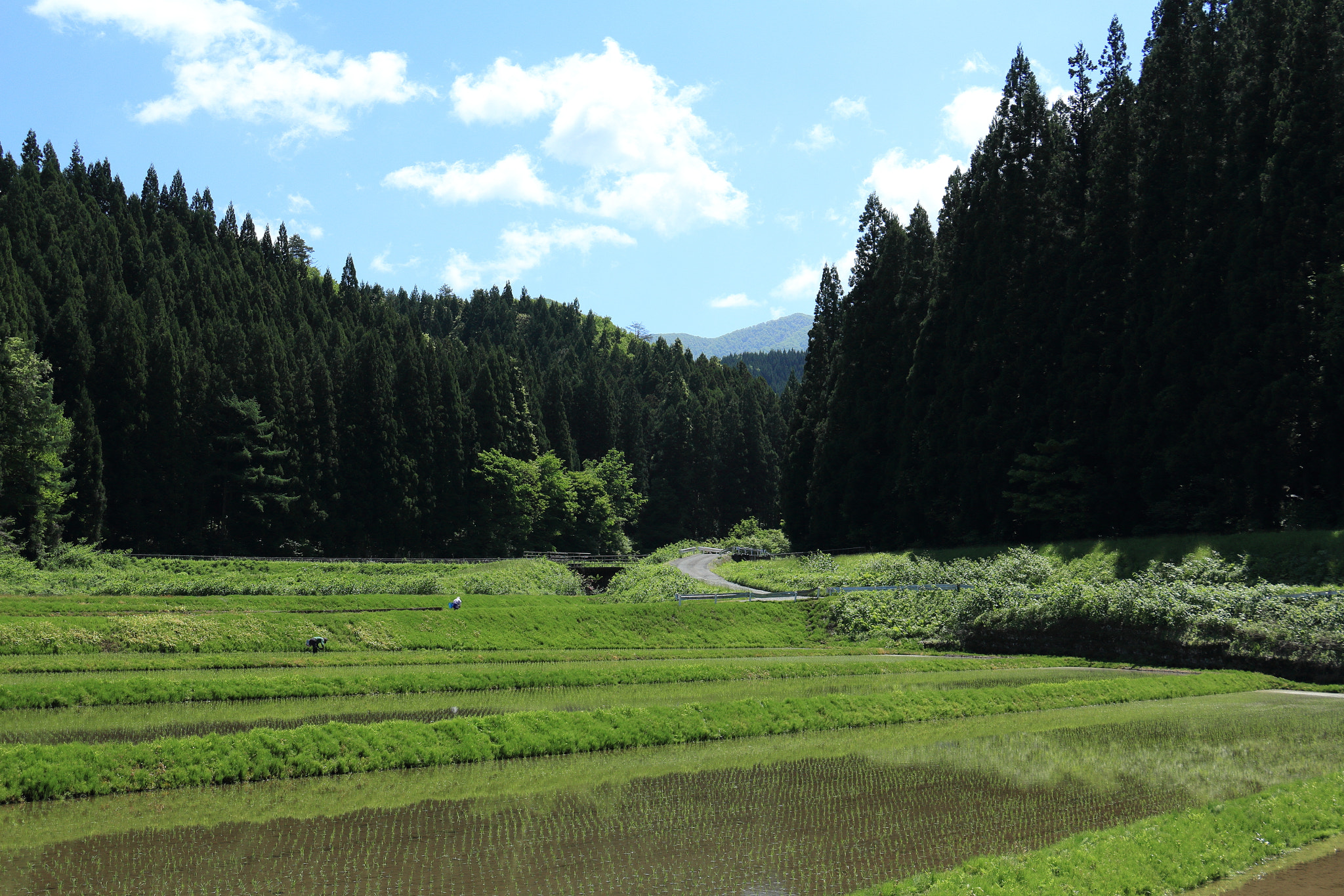 Canon EOS 60D sample photo. Aktia japan nature photography