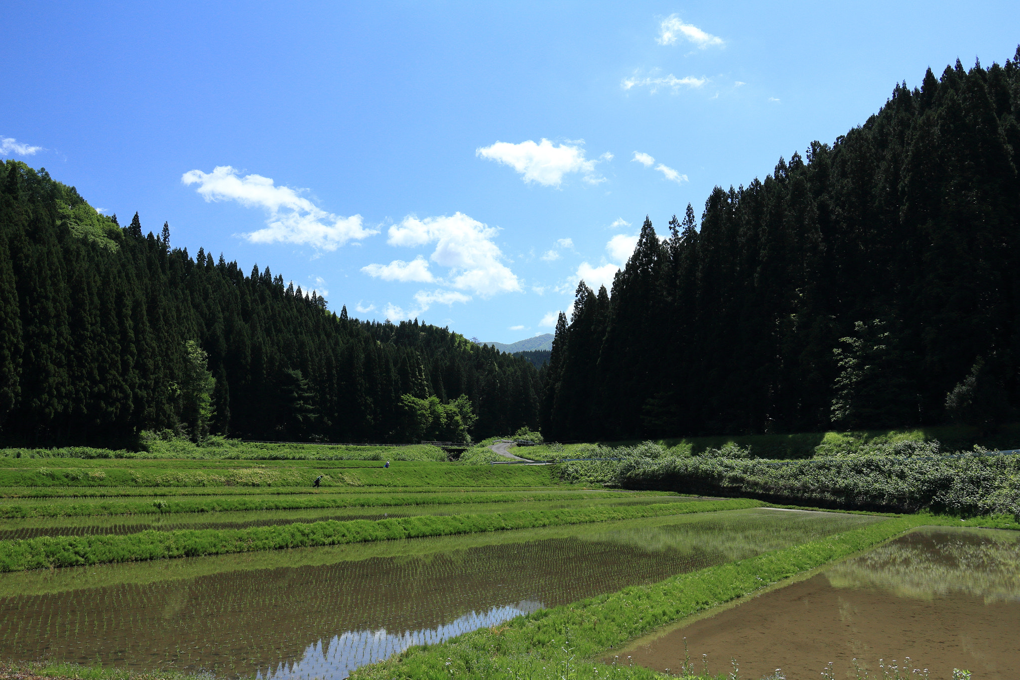 Canon EOS 60D sample photo. Aktia japan nature photography