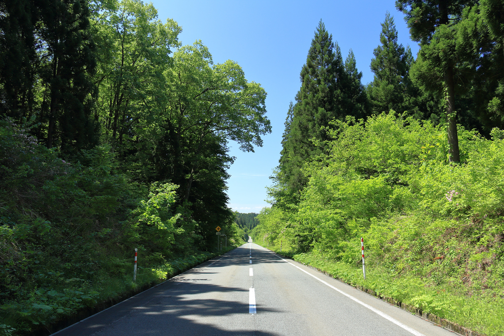 Canon EOS 60D sample photo. Aktia japan nature photography
