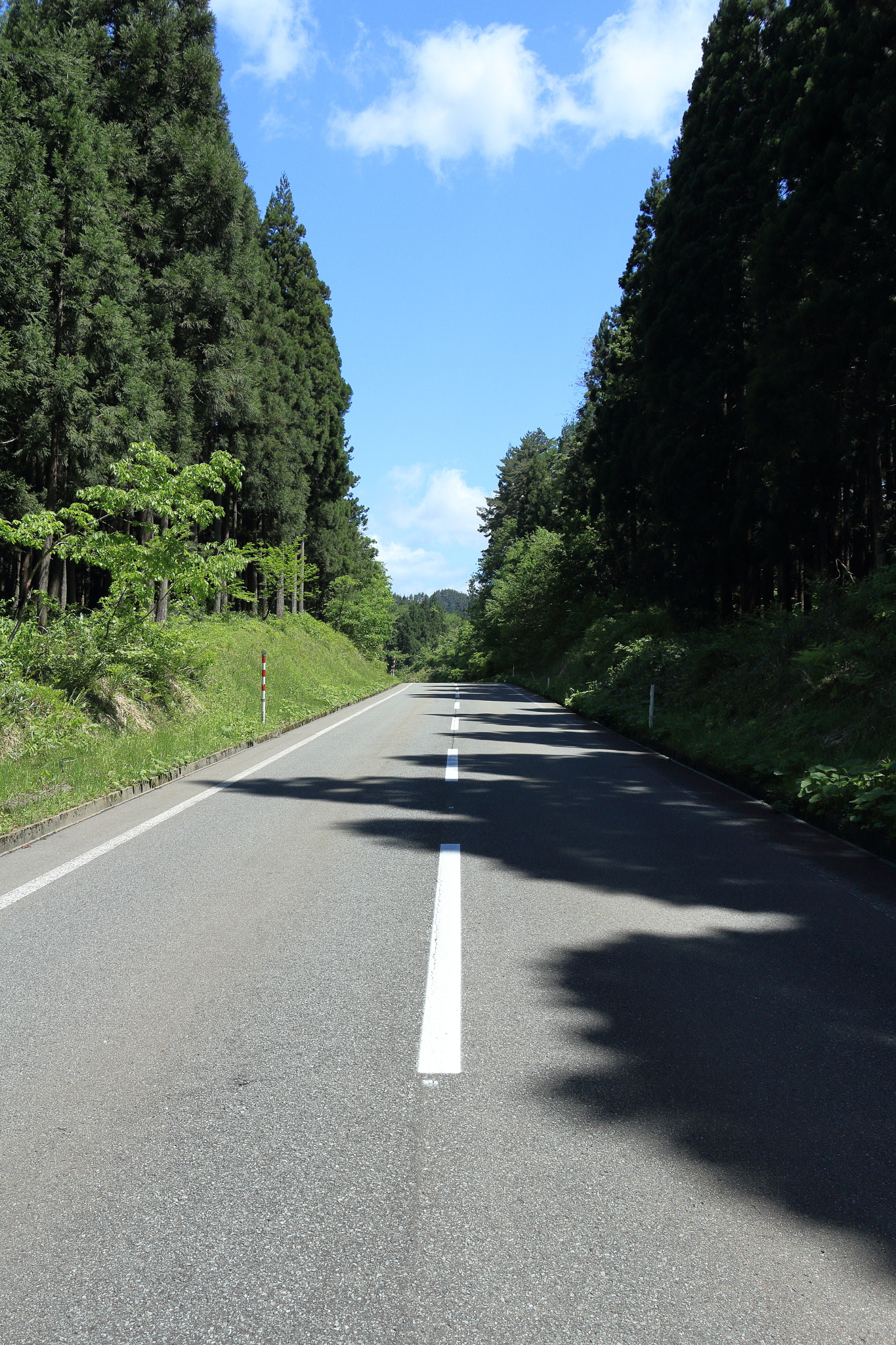 Canon EOS 60D sample photo. Aktia japan nature photography