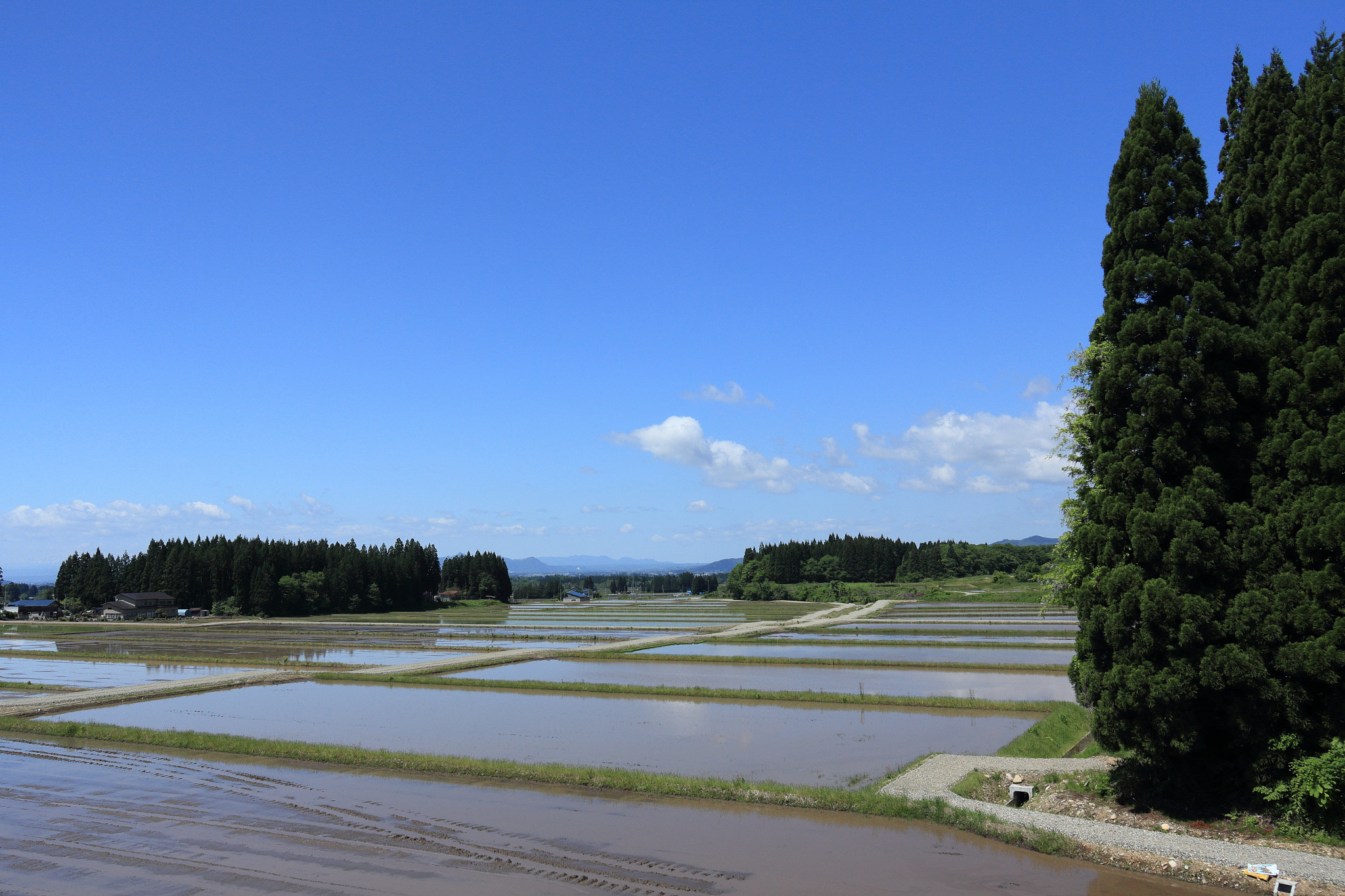 Canon EOS 60D sample photo. Aktia japan nature photography
