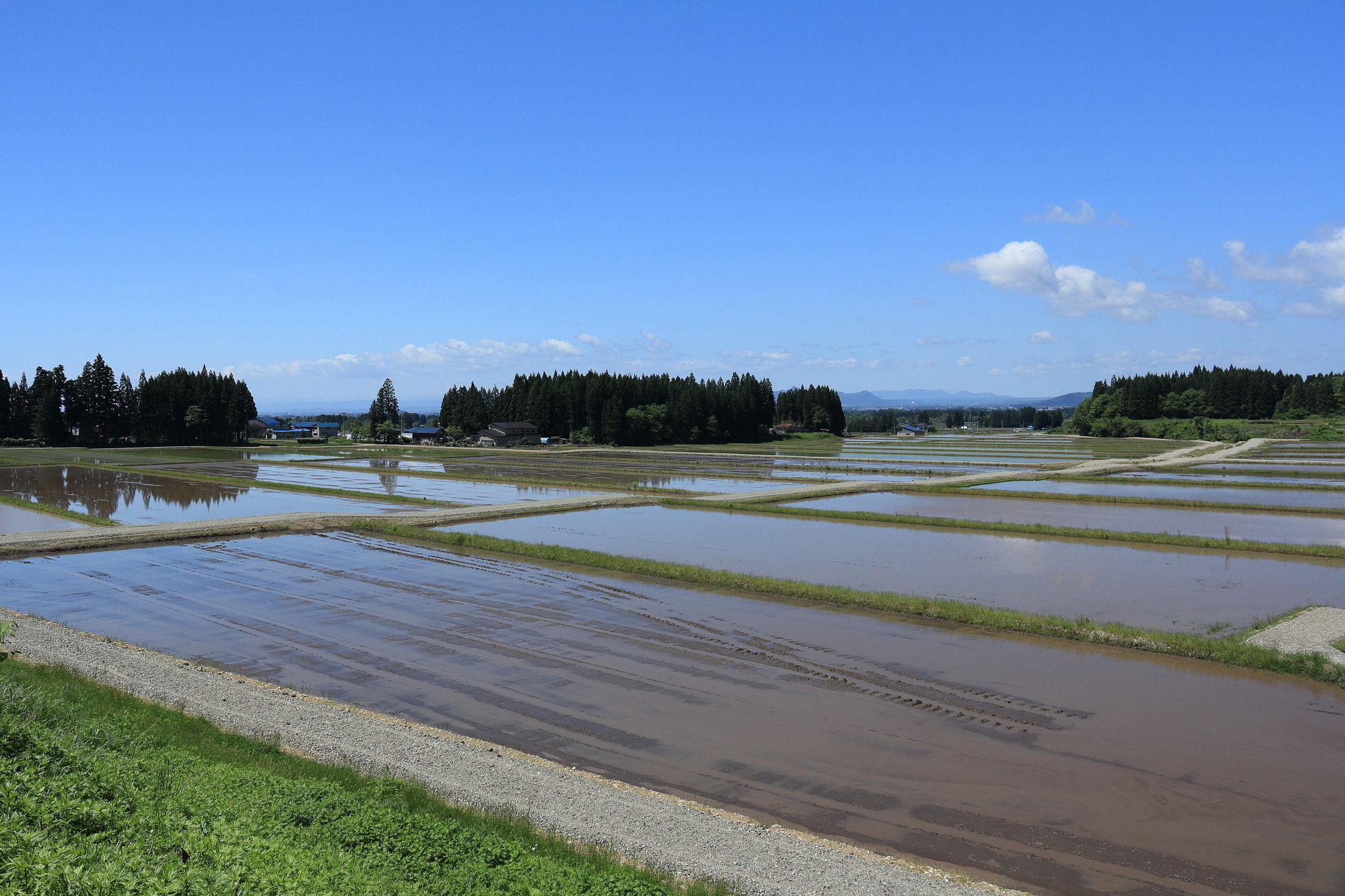 Canon EOS 60D + Canon EF-S 18-135mm F3.5-5.6 IS STM sample photo. Aktia japan nature photography