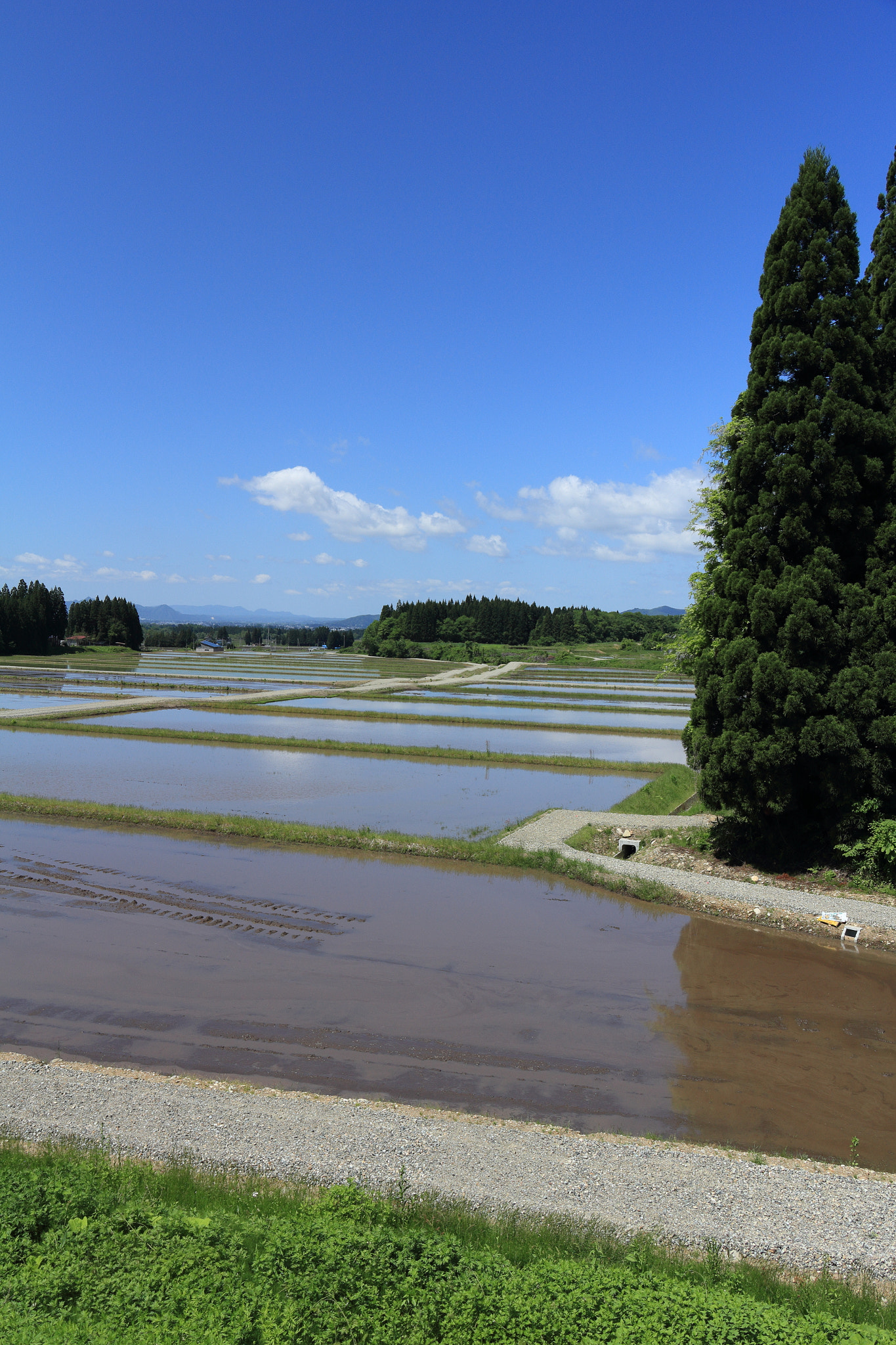 Canon EOS 60D sample photo. Aktia japan nature photography