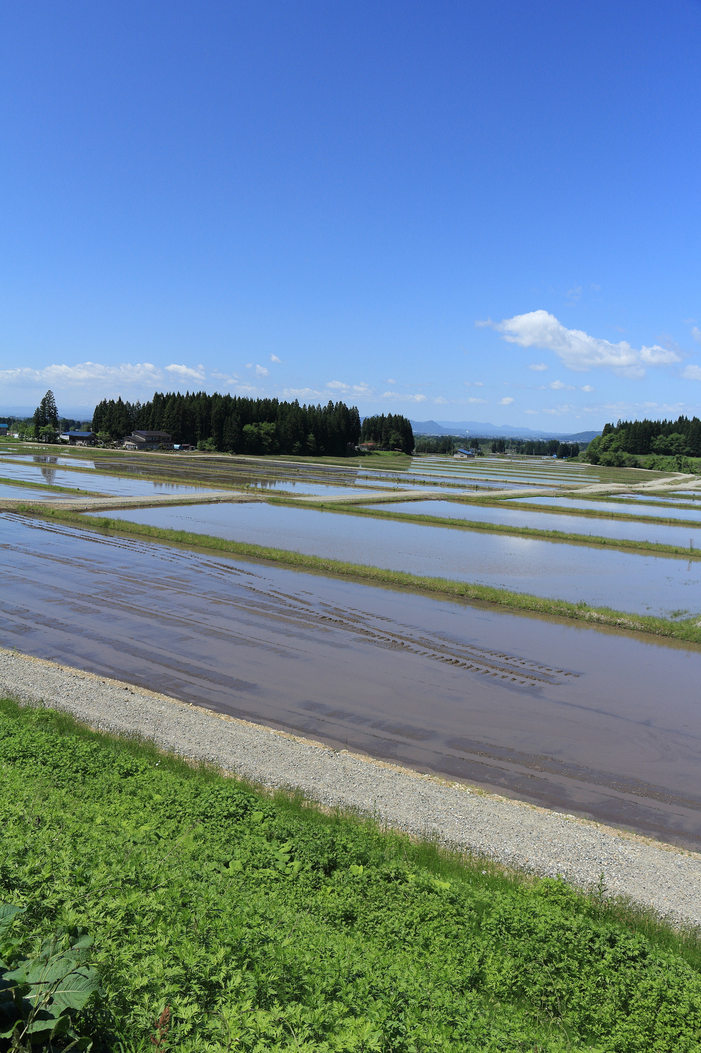 Canon EOS 60D sample photo. Aktia japan nature photography