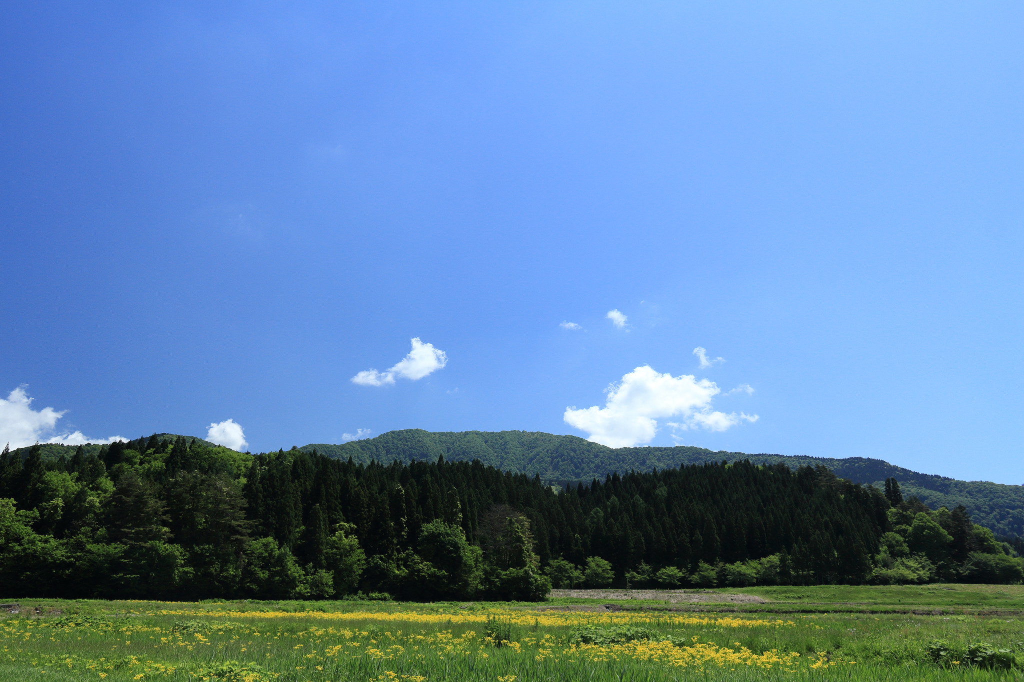 Canon EOS 60D sample photo. Aktia japan nature photography