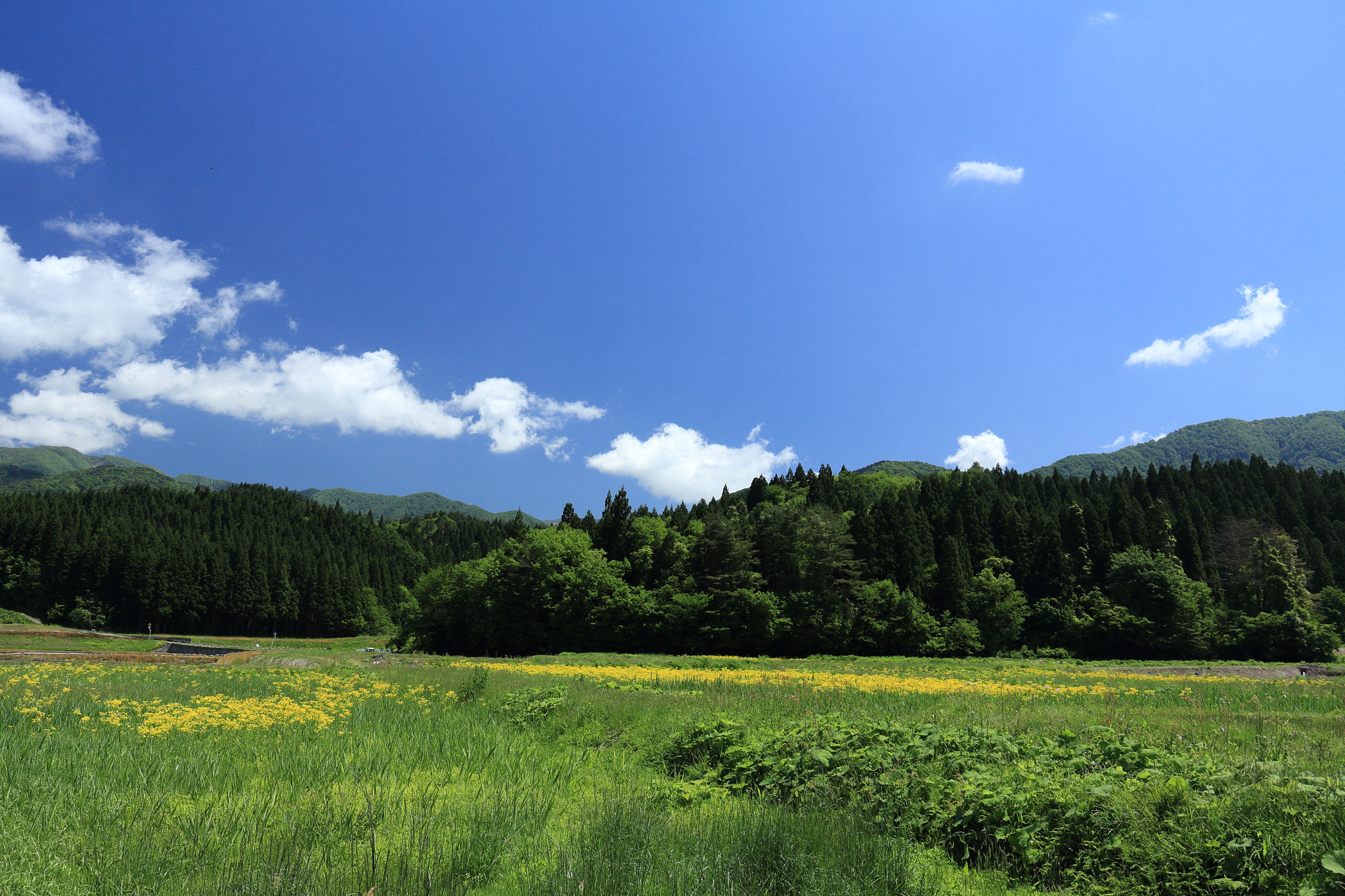 Canon EOS 60D sample photo. Aktia japan nature photography