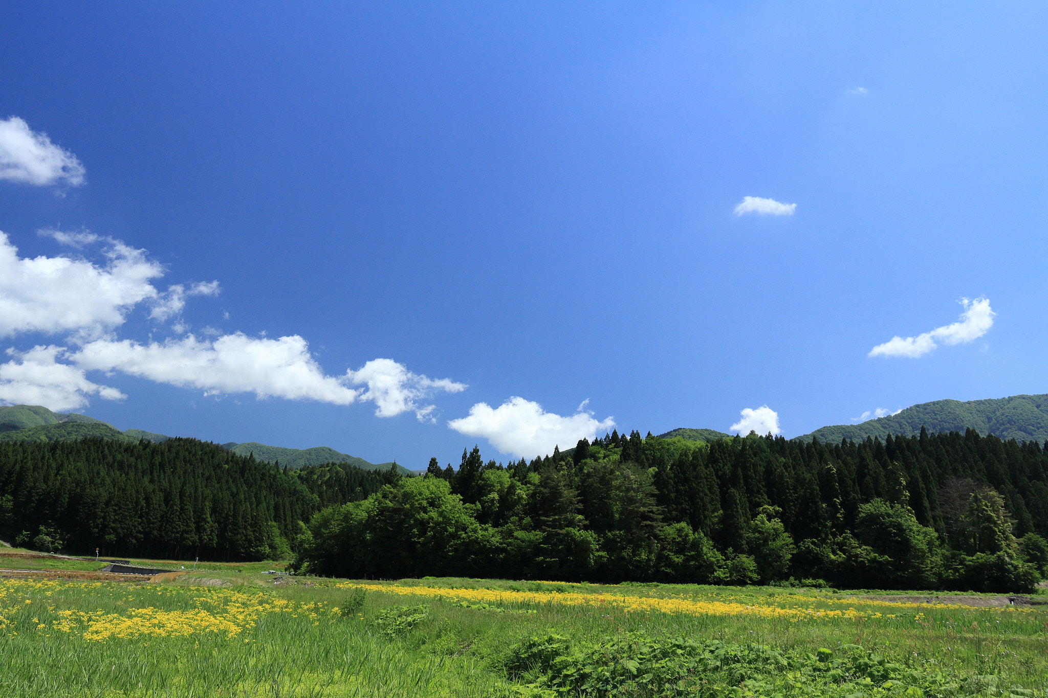 Canon EOS 60D sample photo. Aktia japan nature photography