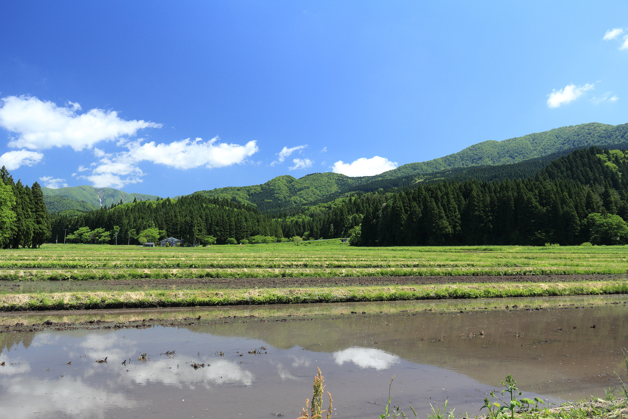 Canon EOS 60D + Canon EF-S 18-135mm F3.5-5.6 IS STM sample photo. Aktia japan nature photography