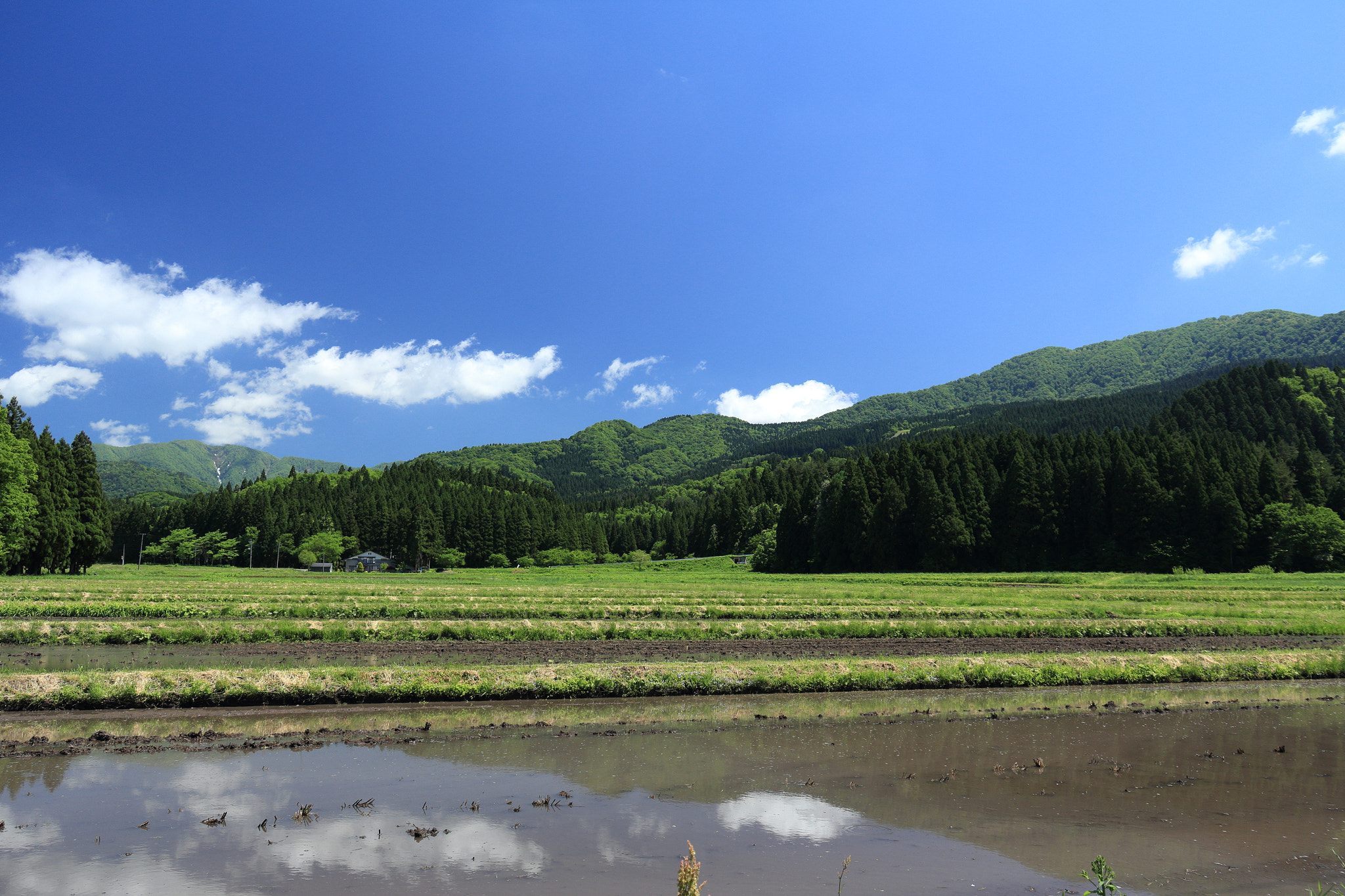 Canon EOS 60D + Canon EF-S 18-135mm F3.5-5.6 IS STM sample photo. Aktia japan nature photography