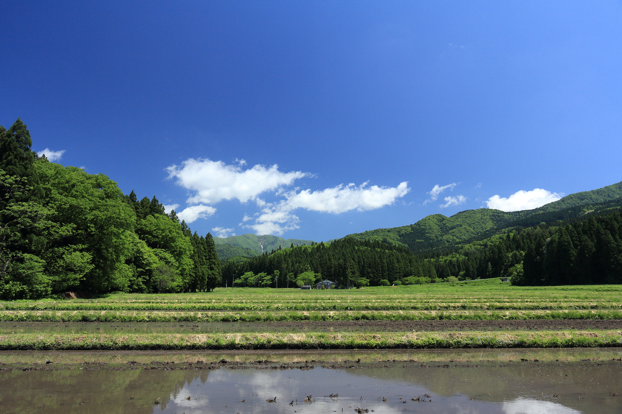 Canon EOS 60D sample photo. Aktia japan nature photography