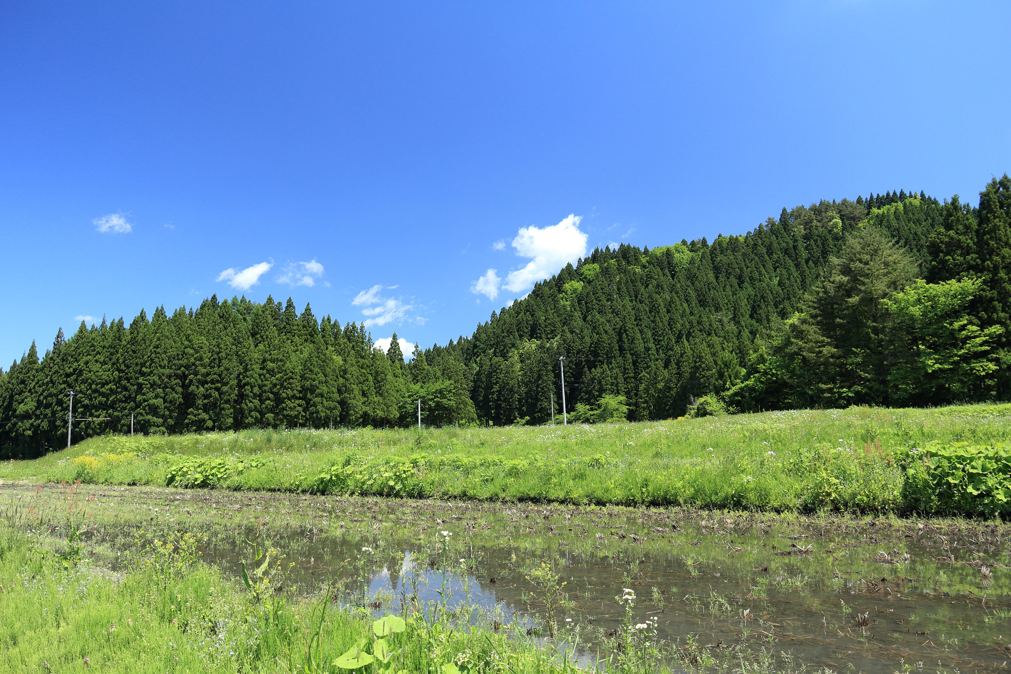 Canon EOS 60D sample photo. Aktia japan nature photography
