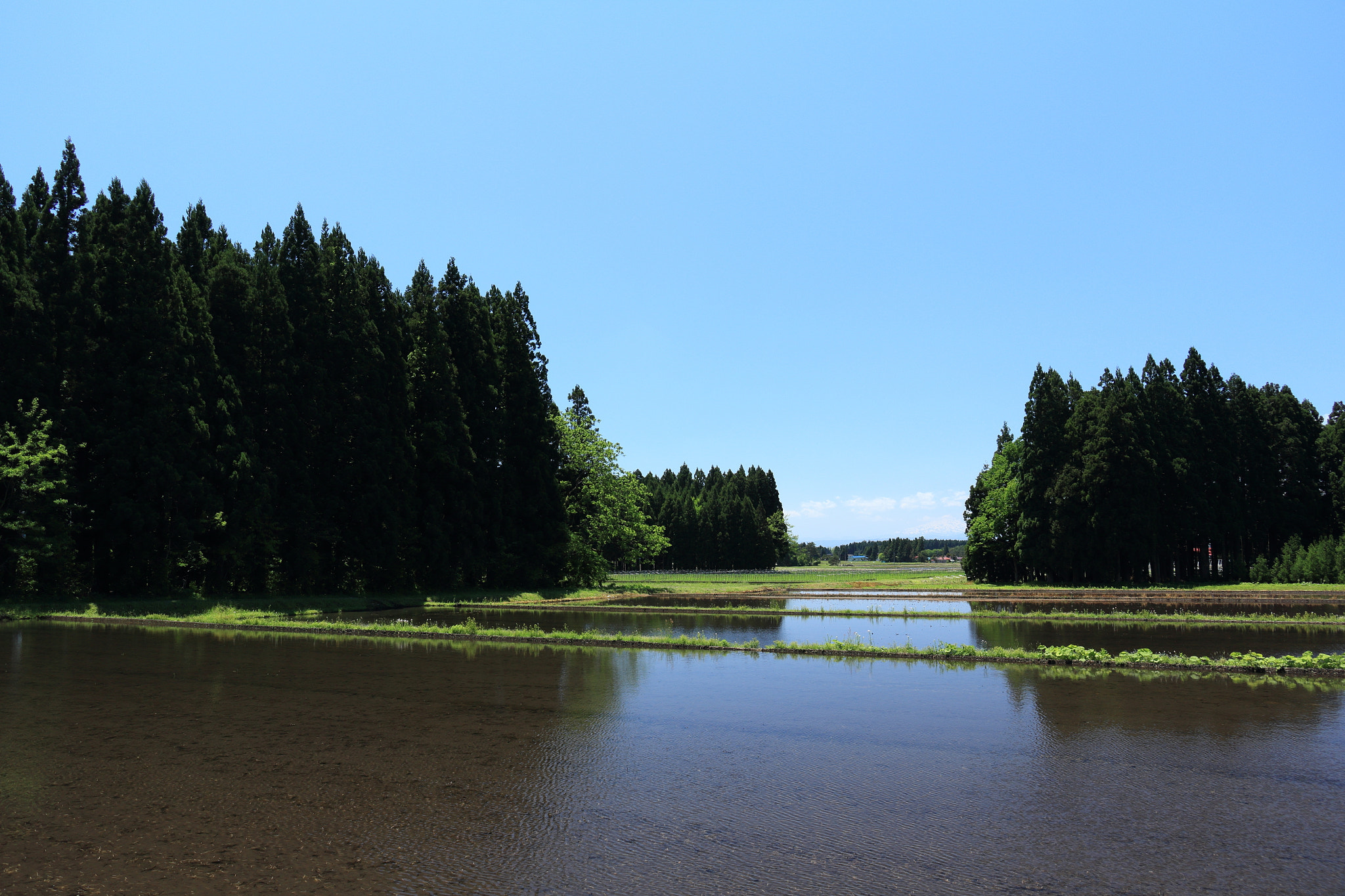 Canon EOS 60D sample photo. Aktia japan nature photography