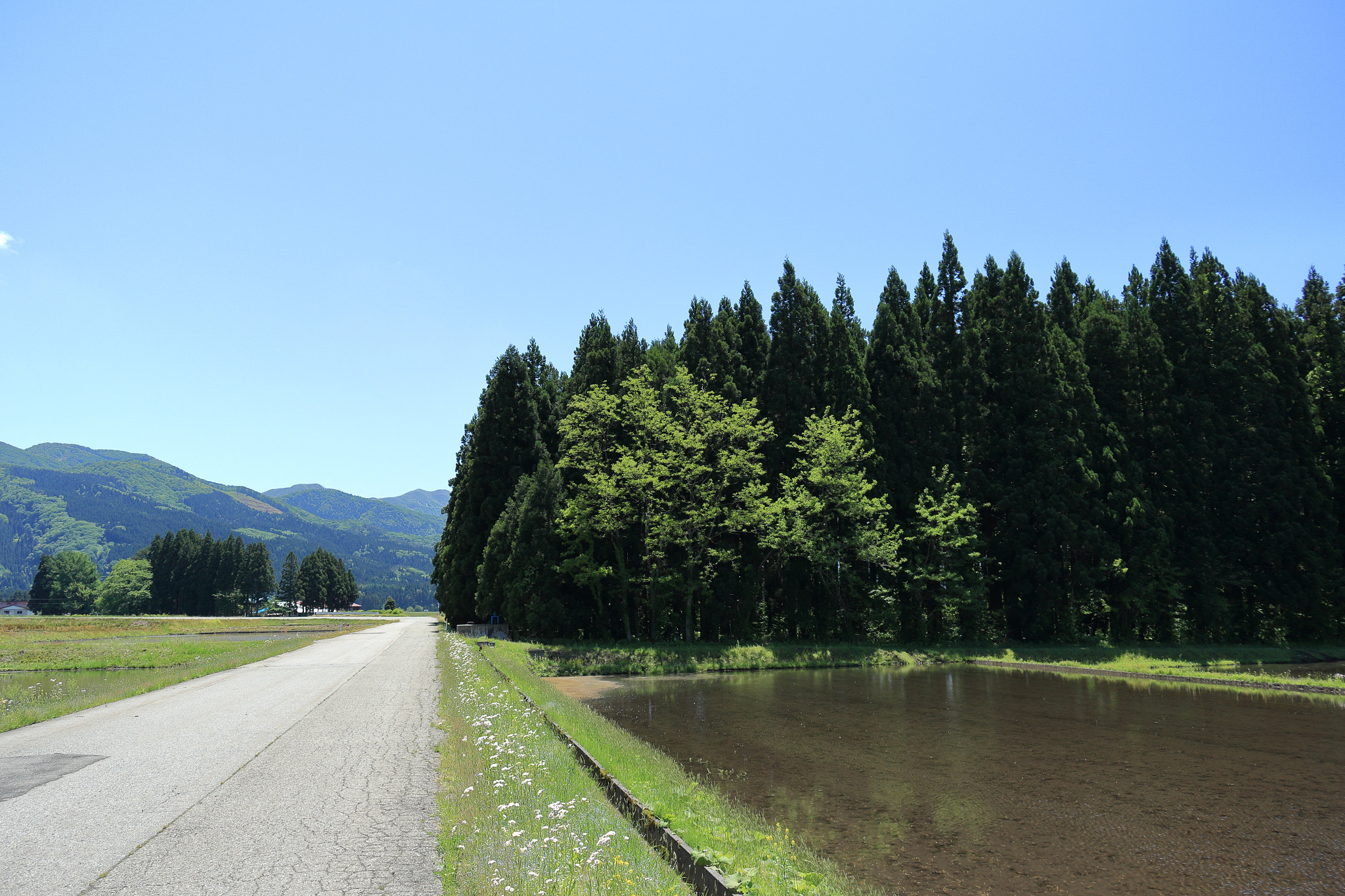 Canon EOS 60D sample photo. Aktia japan nature photography