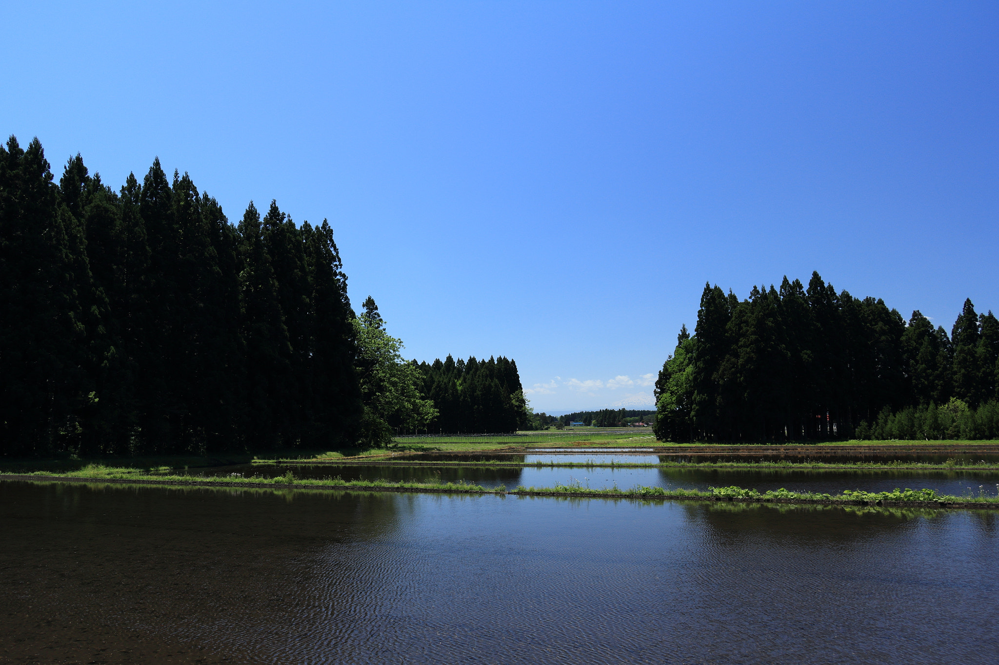 Canon EOS 60D sample photo. Aktia japan nature photography